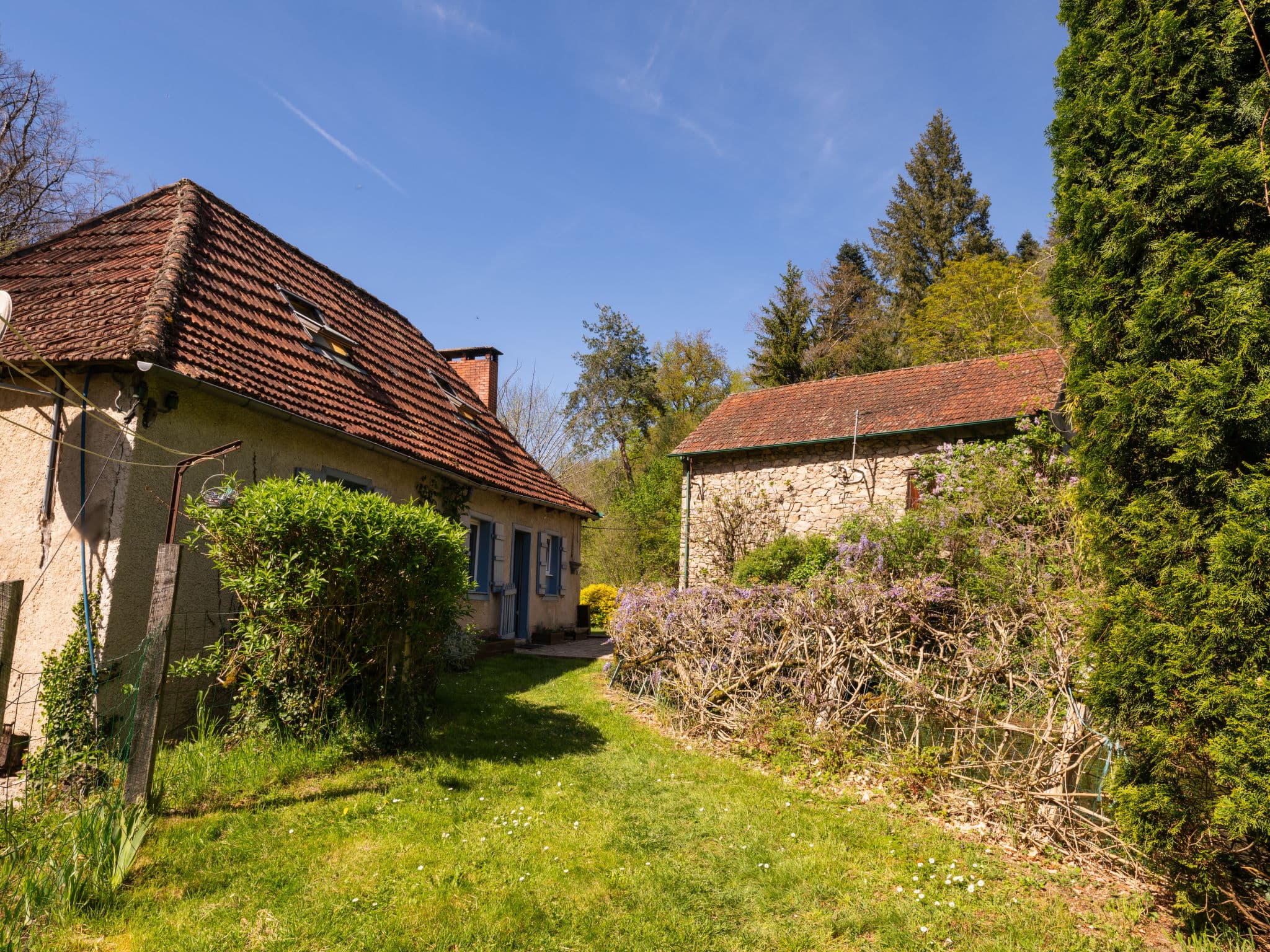 House