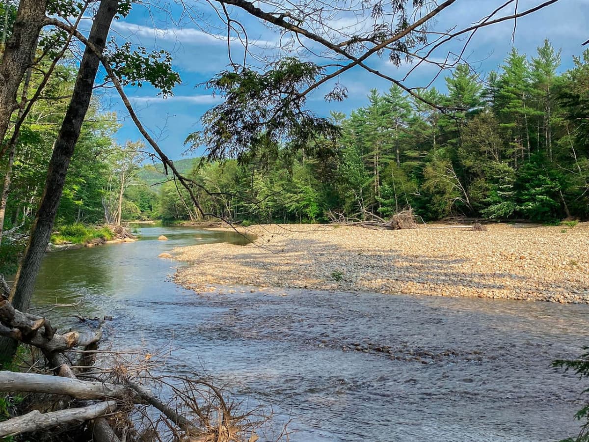 Saco River - Walking distance from our home!