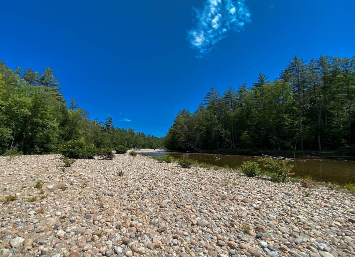 Saco River - Walking distance from our home!