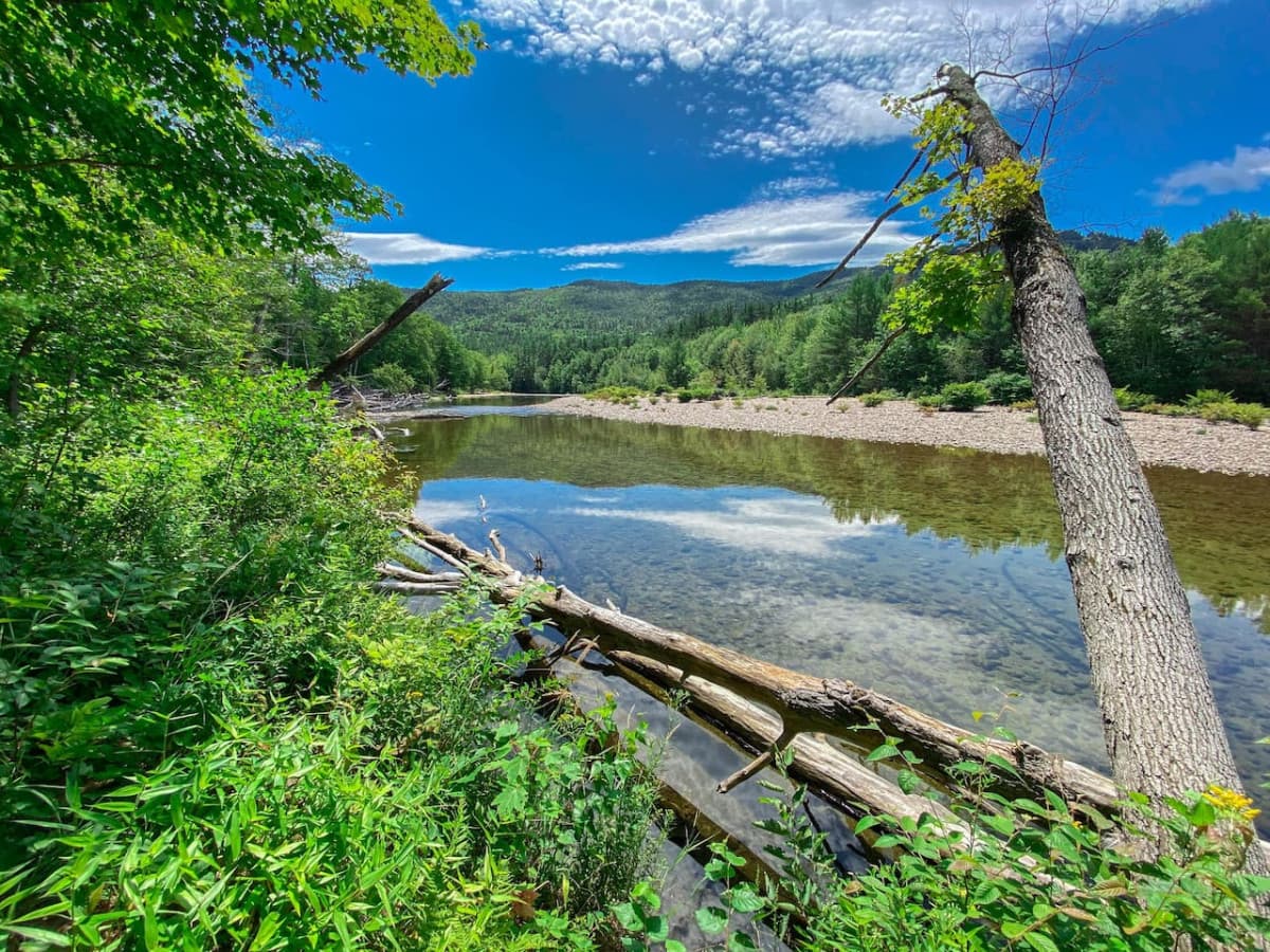 Saco River - Walking distance from our home!