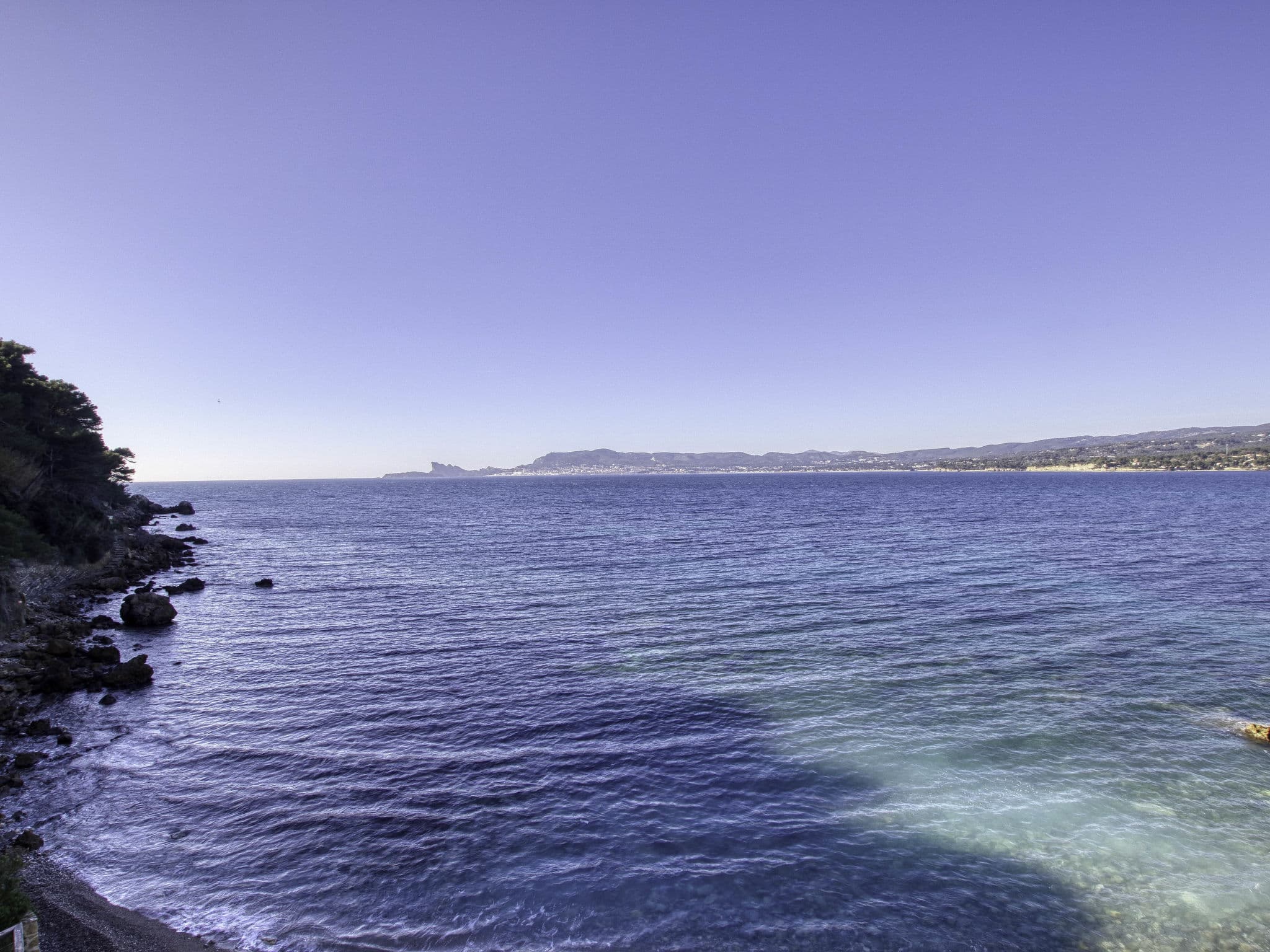 View