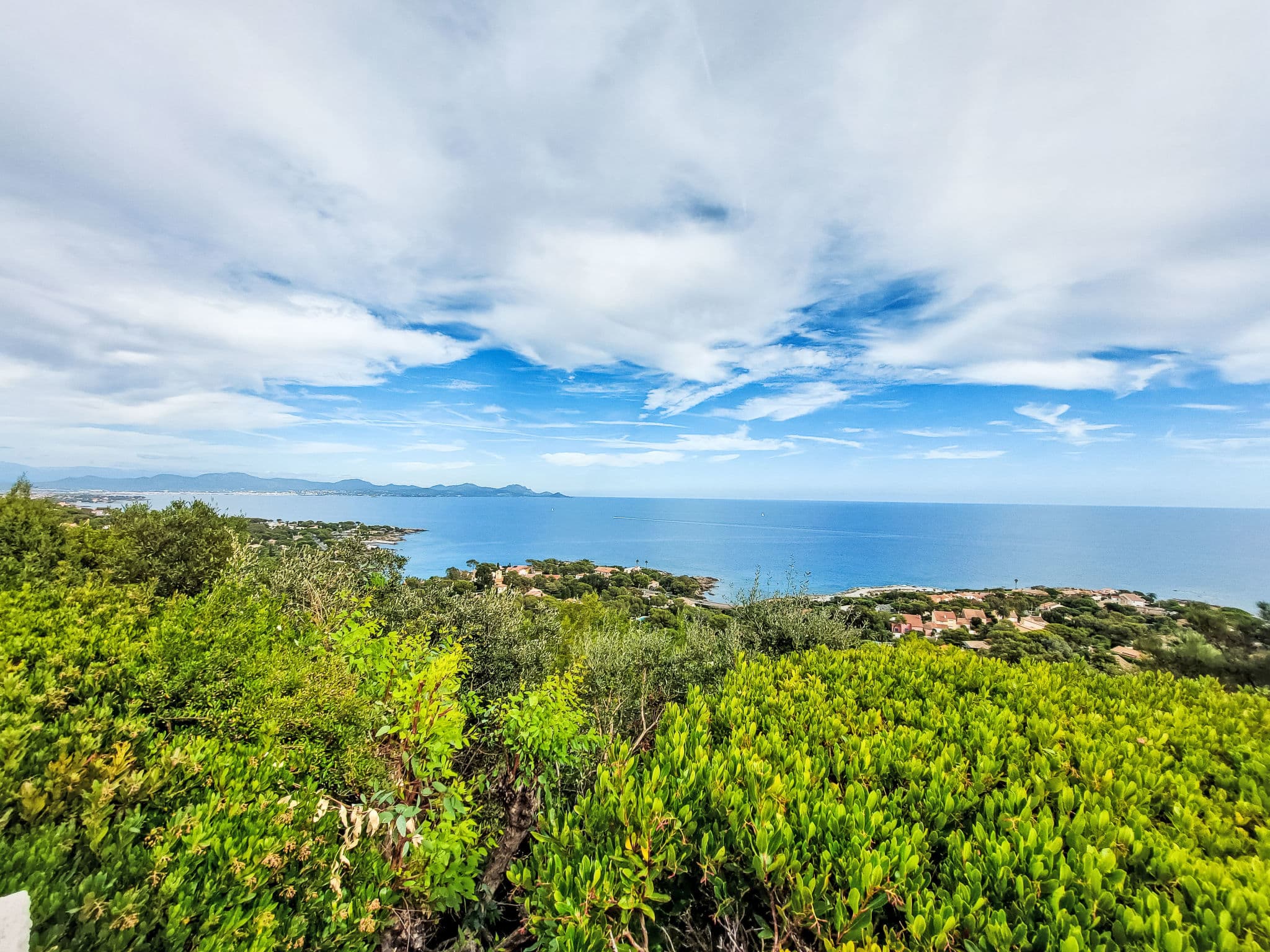 View