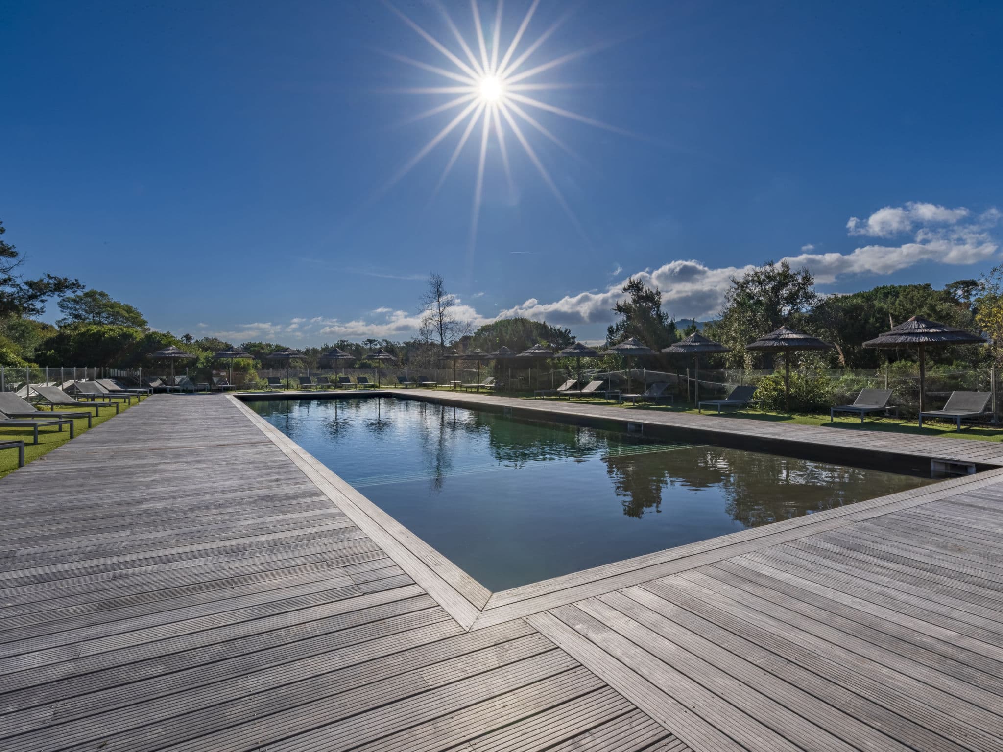 Pool Outdoor