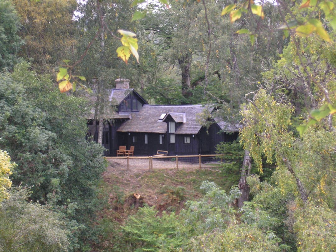 Large Image