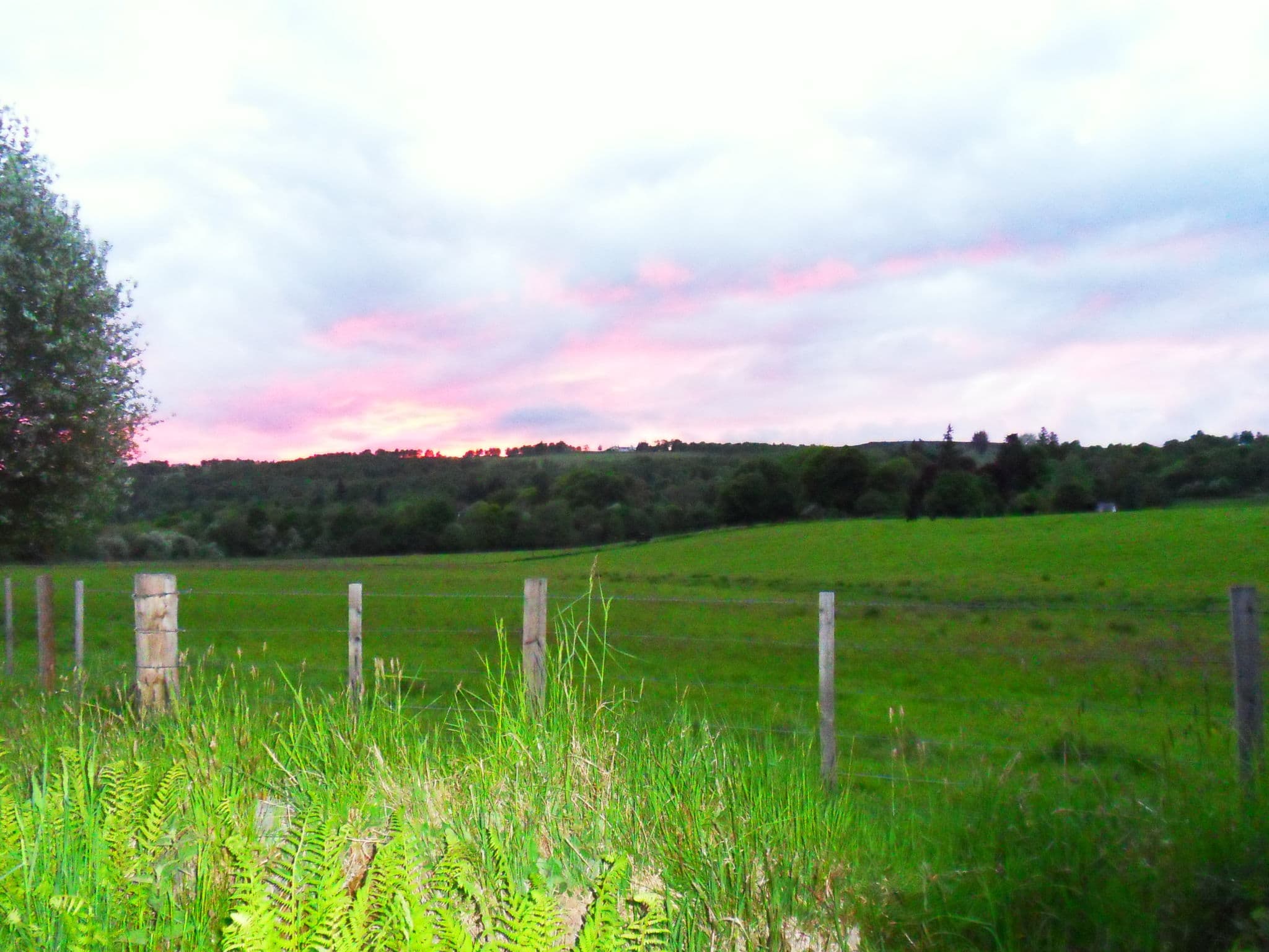 Place