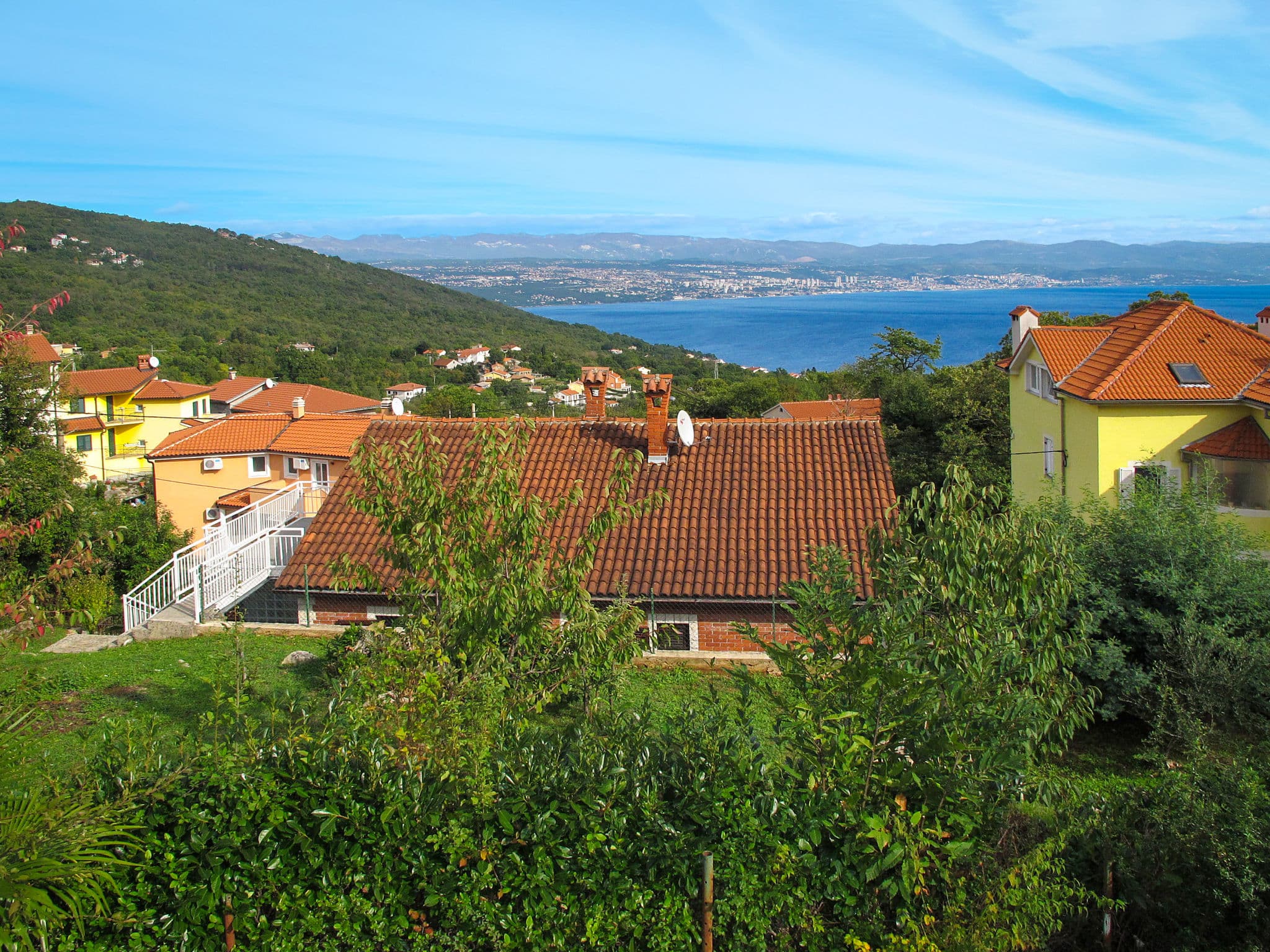 View