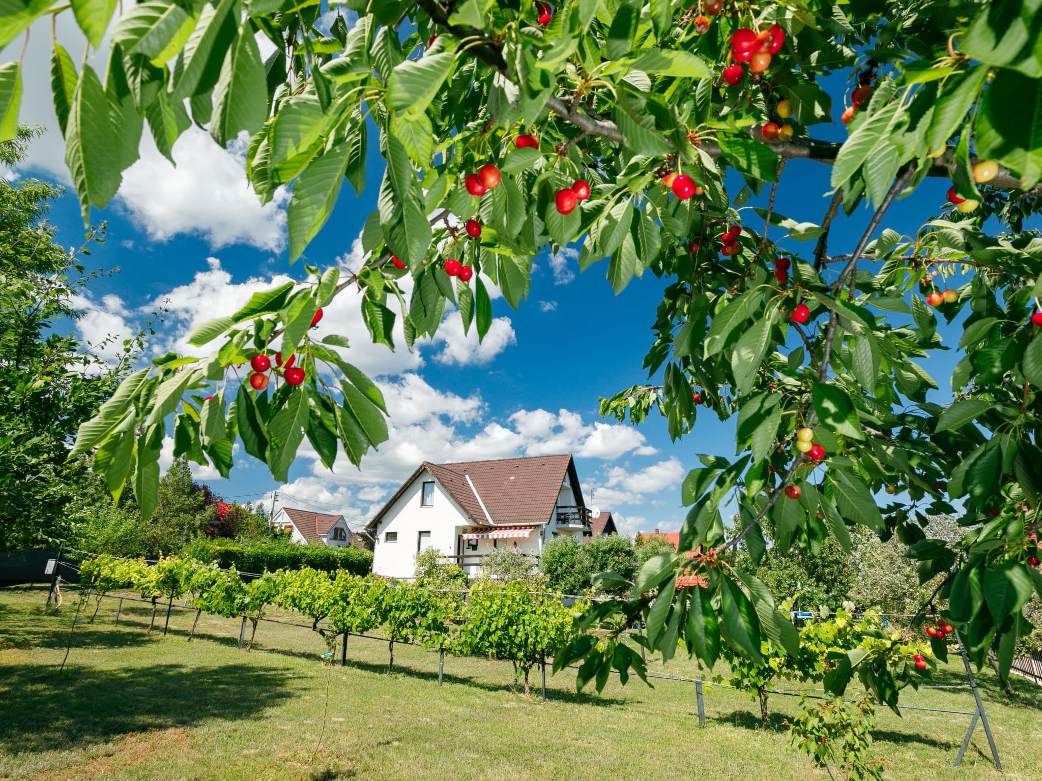 Outdoor