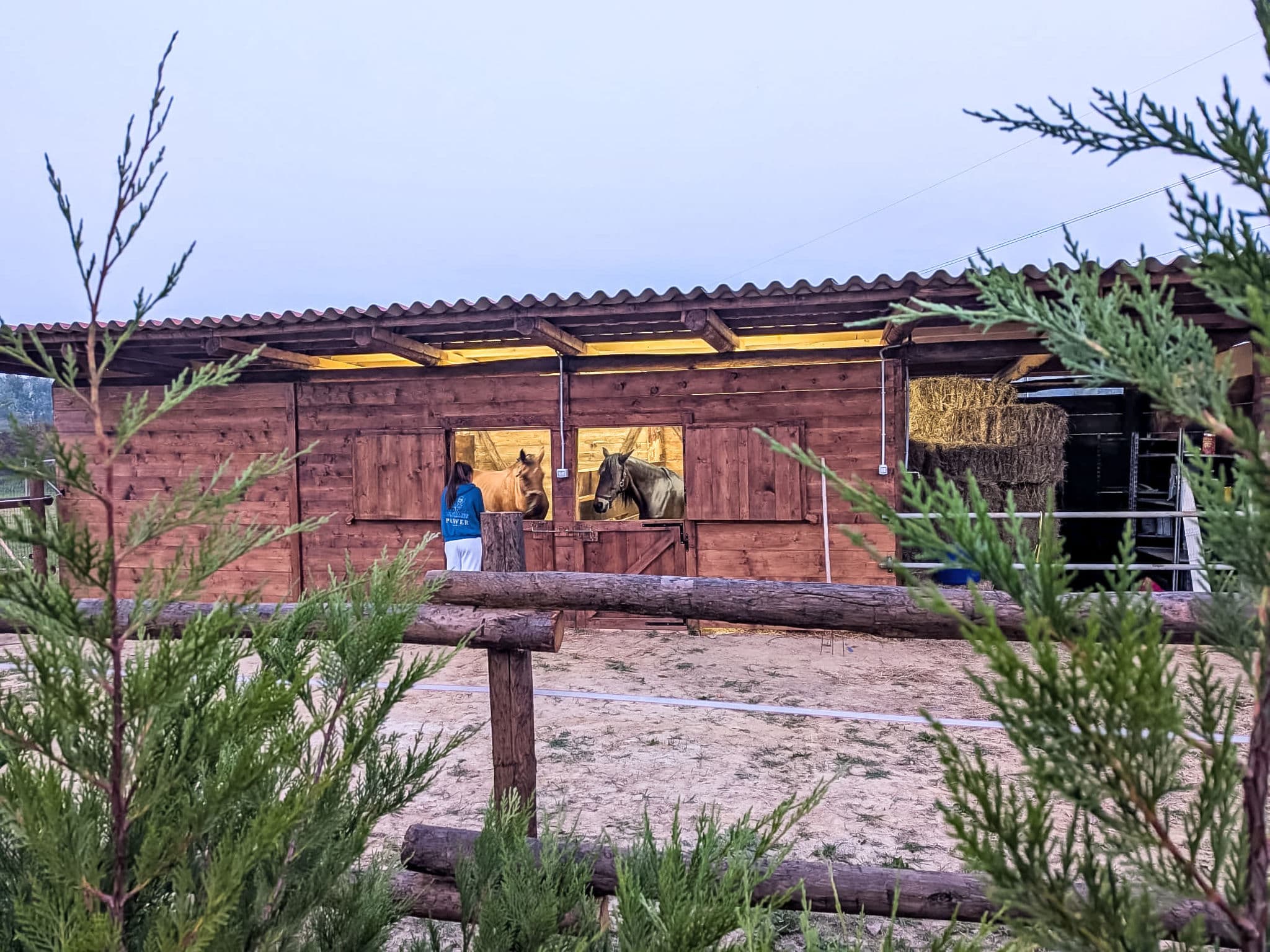 Community