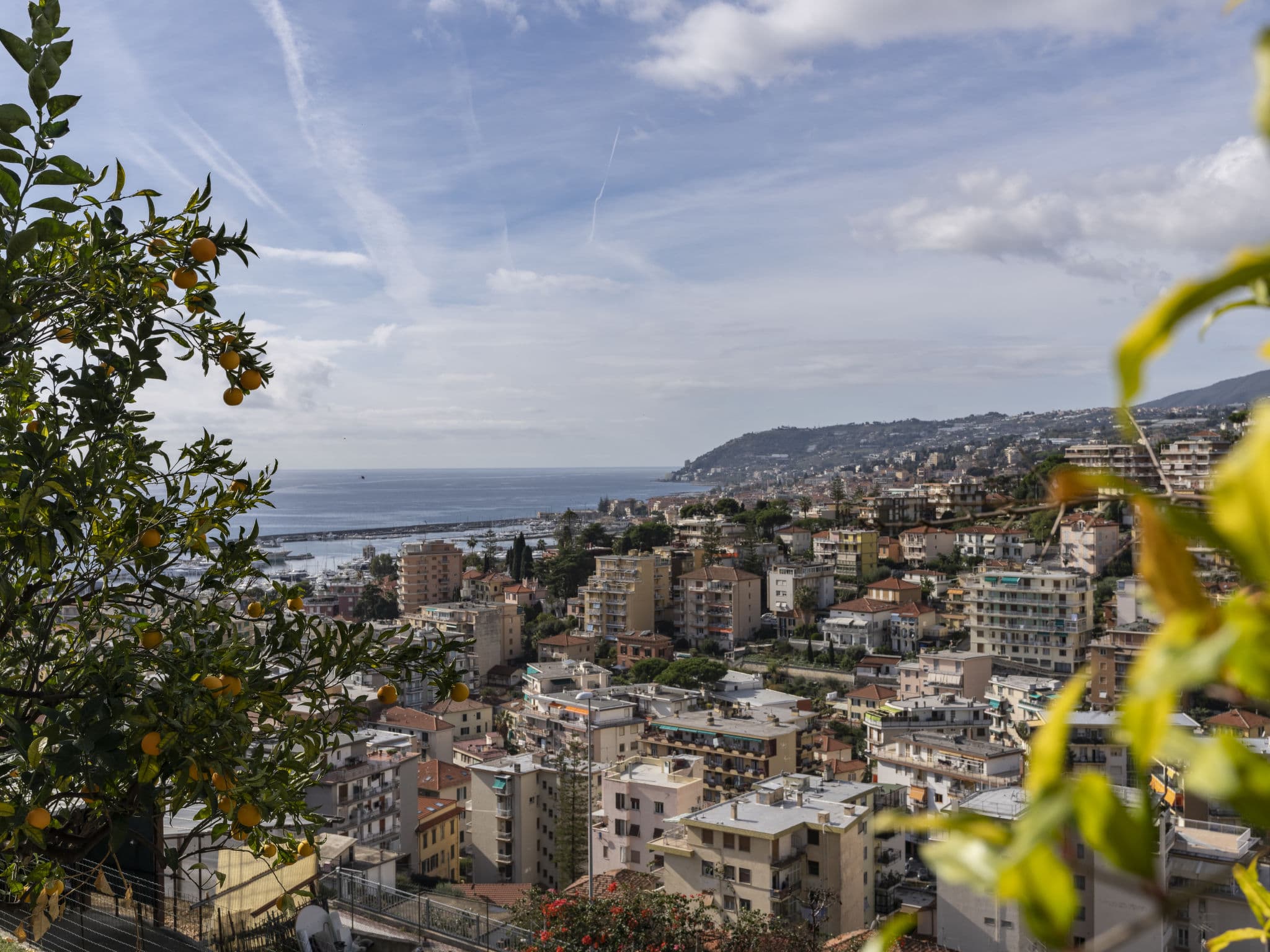 View
