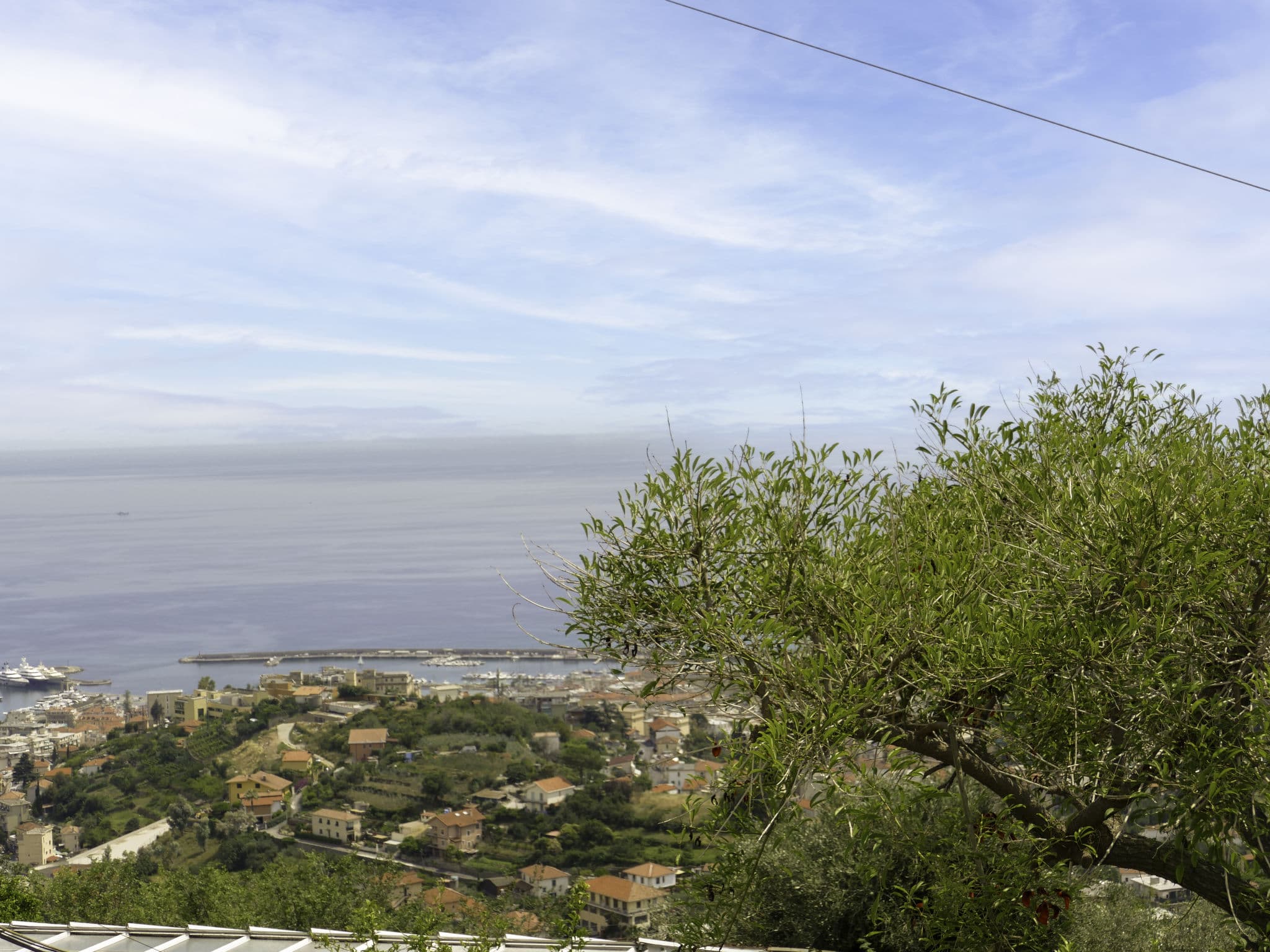 View