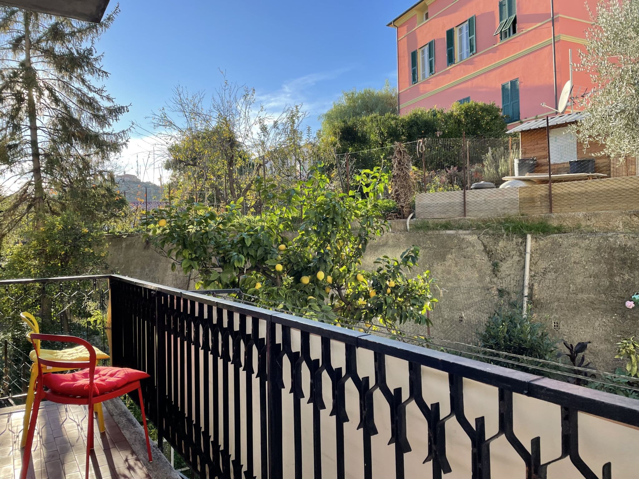 Terrace