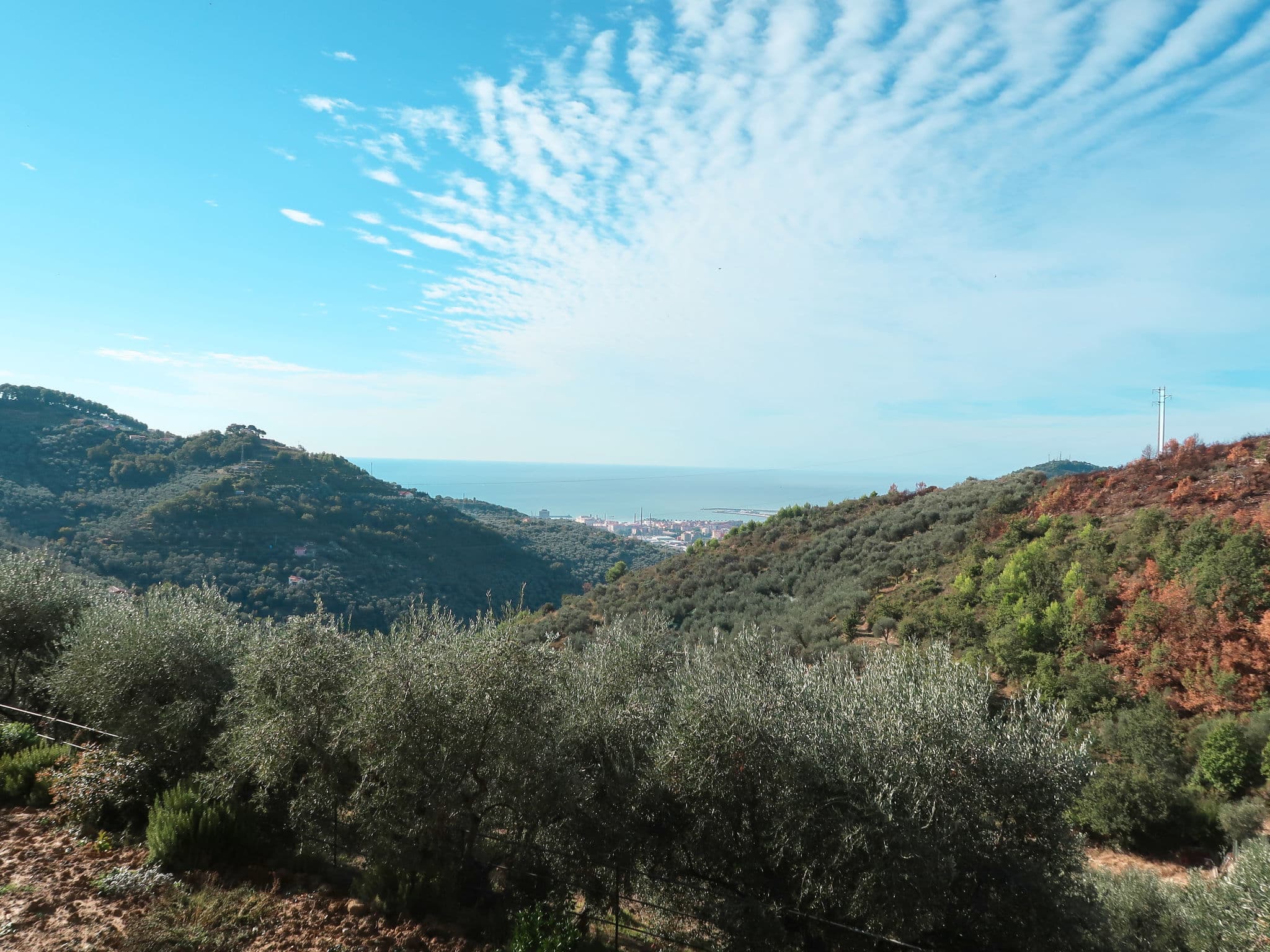 View