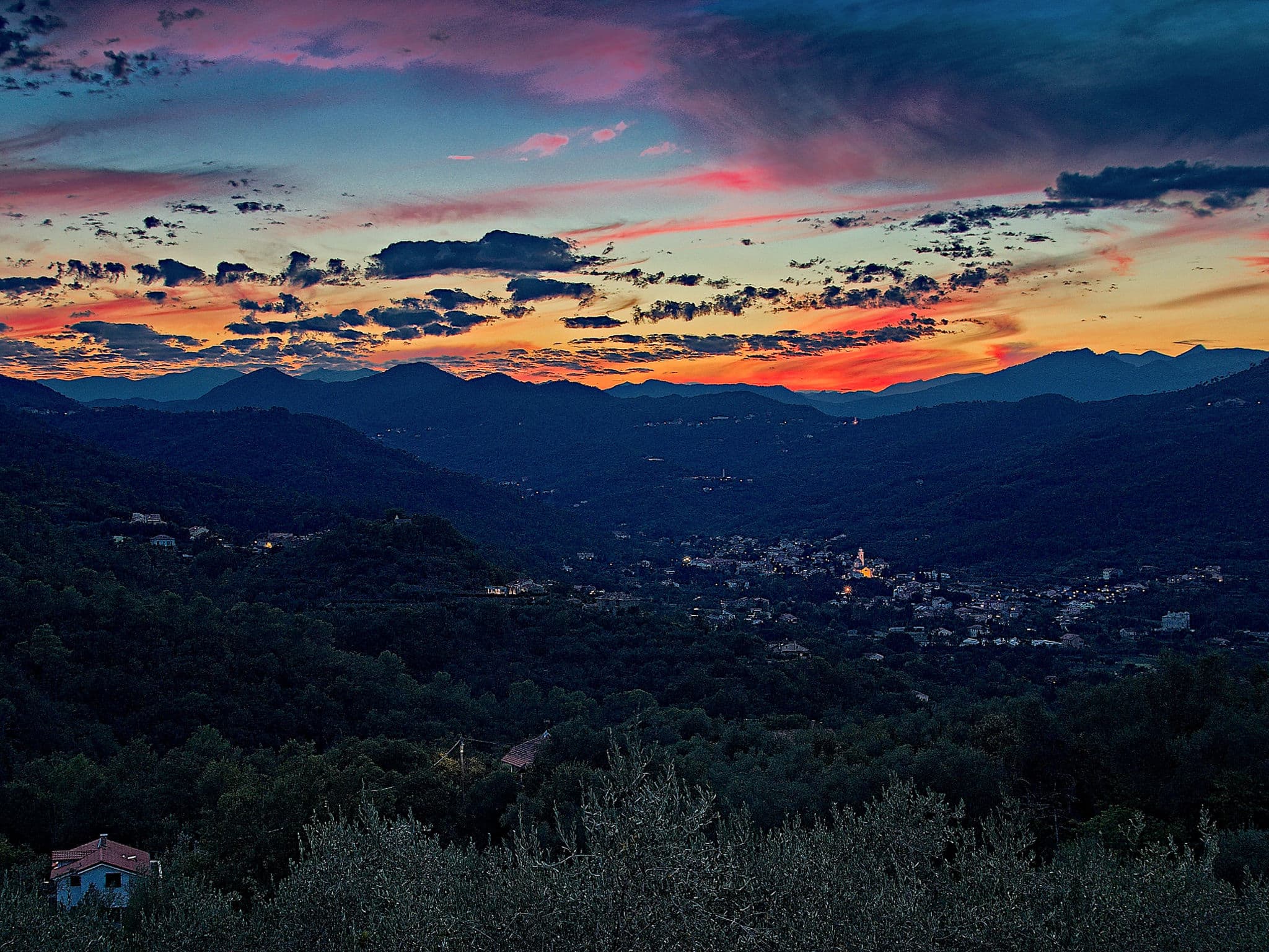 View