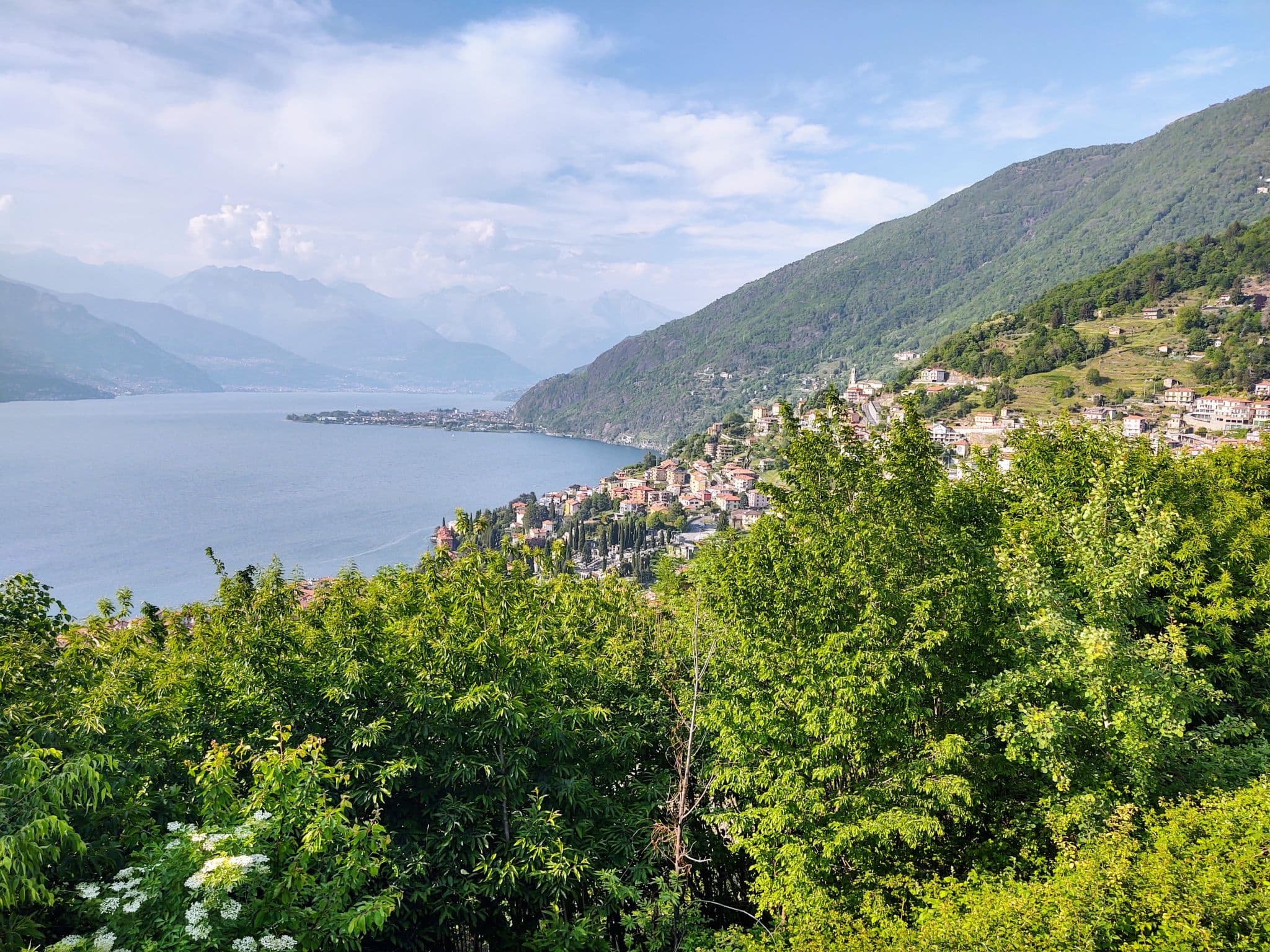 View