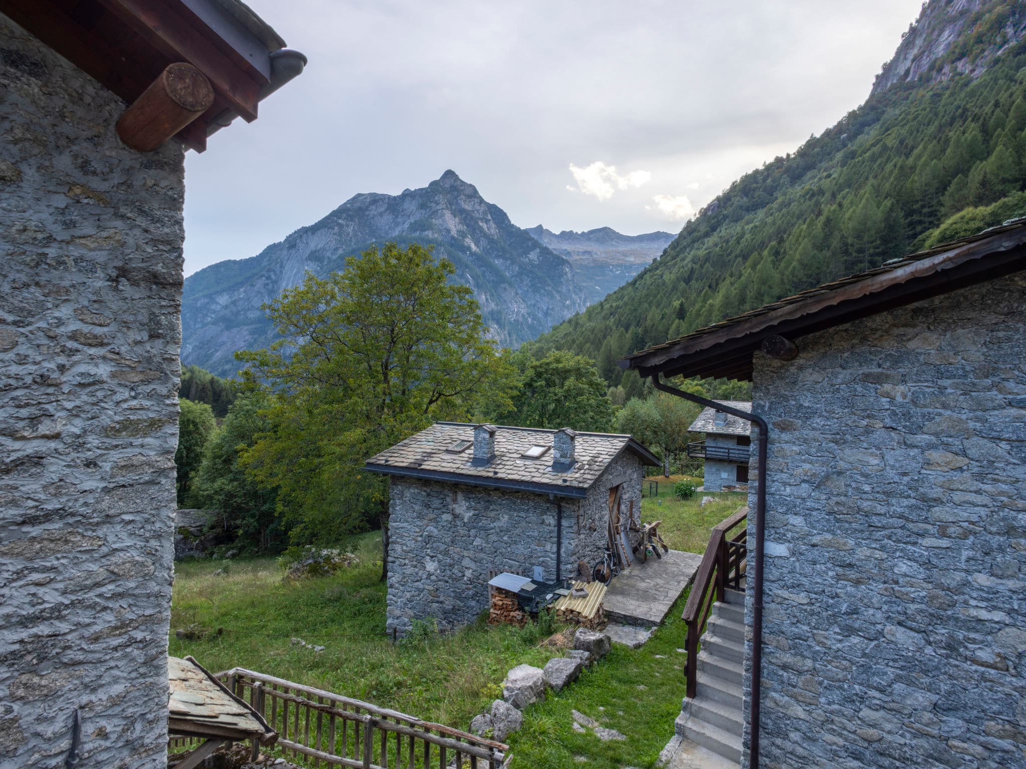 View