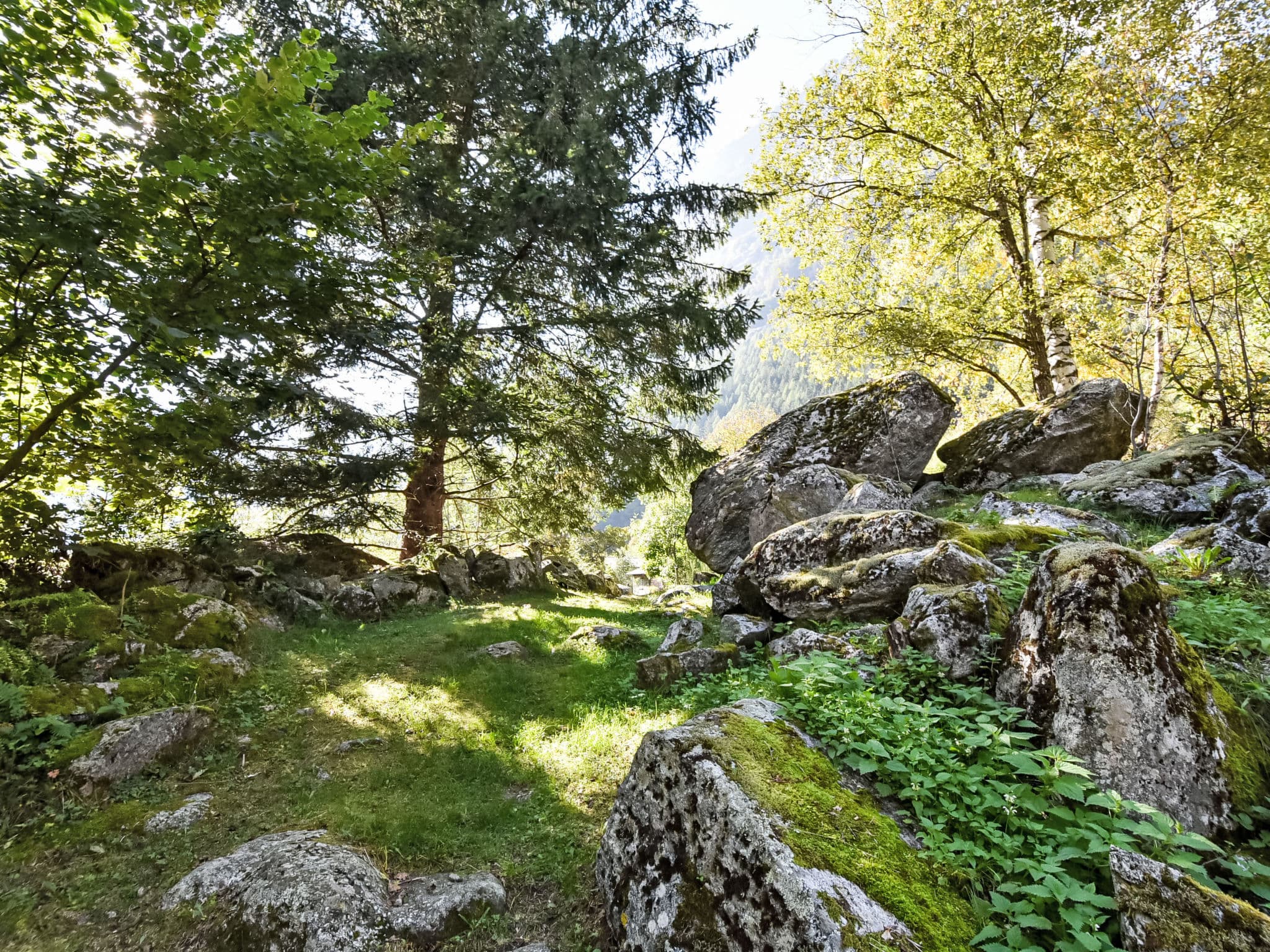 Place