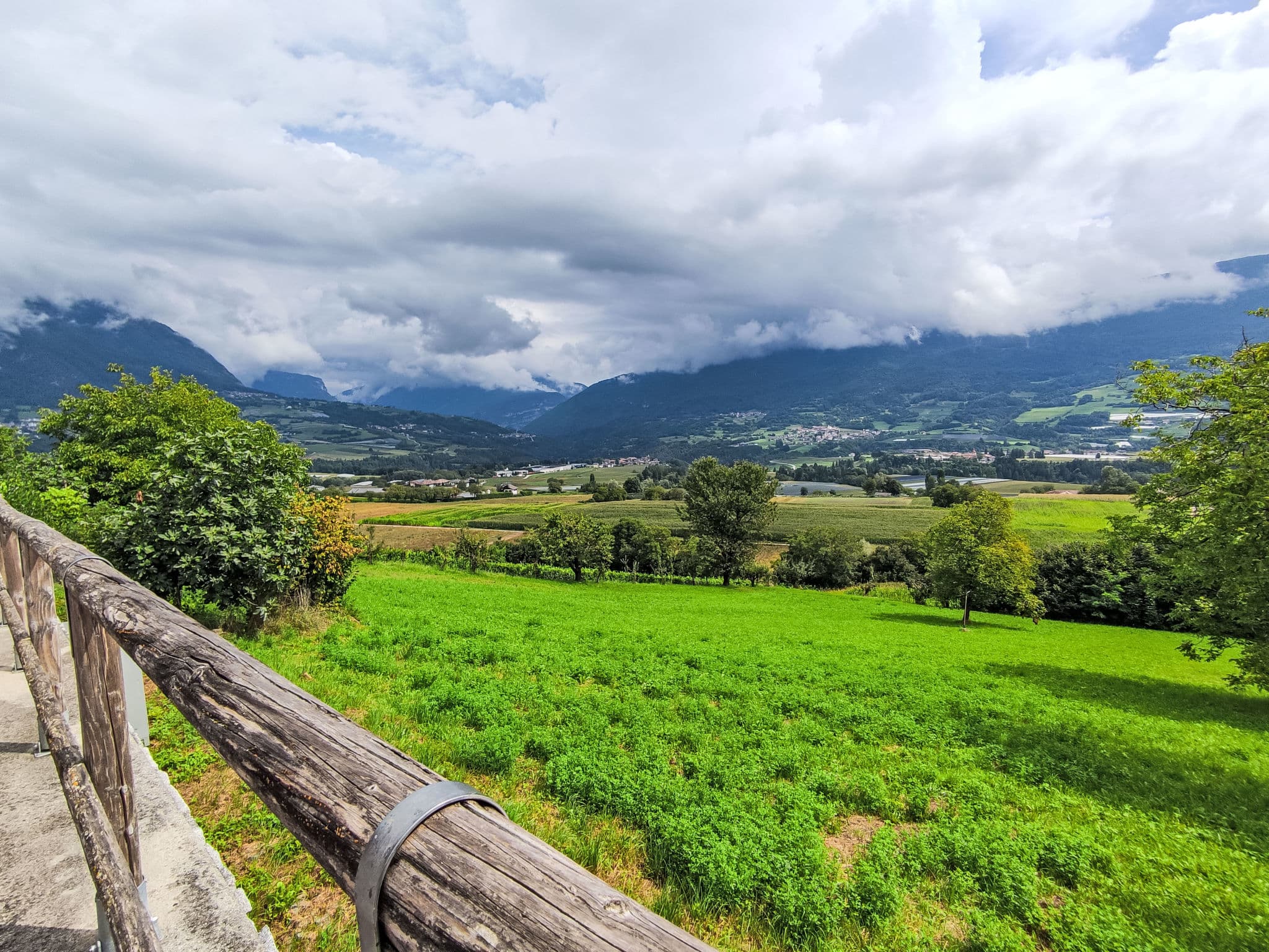 View