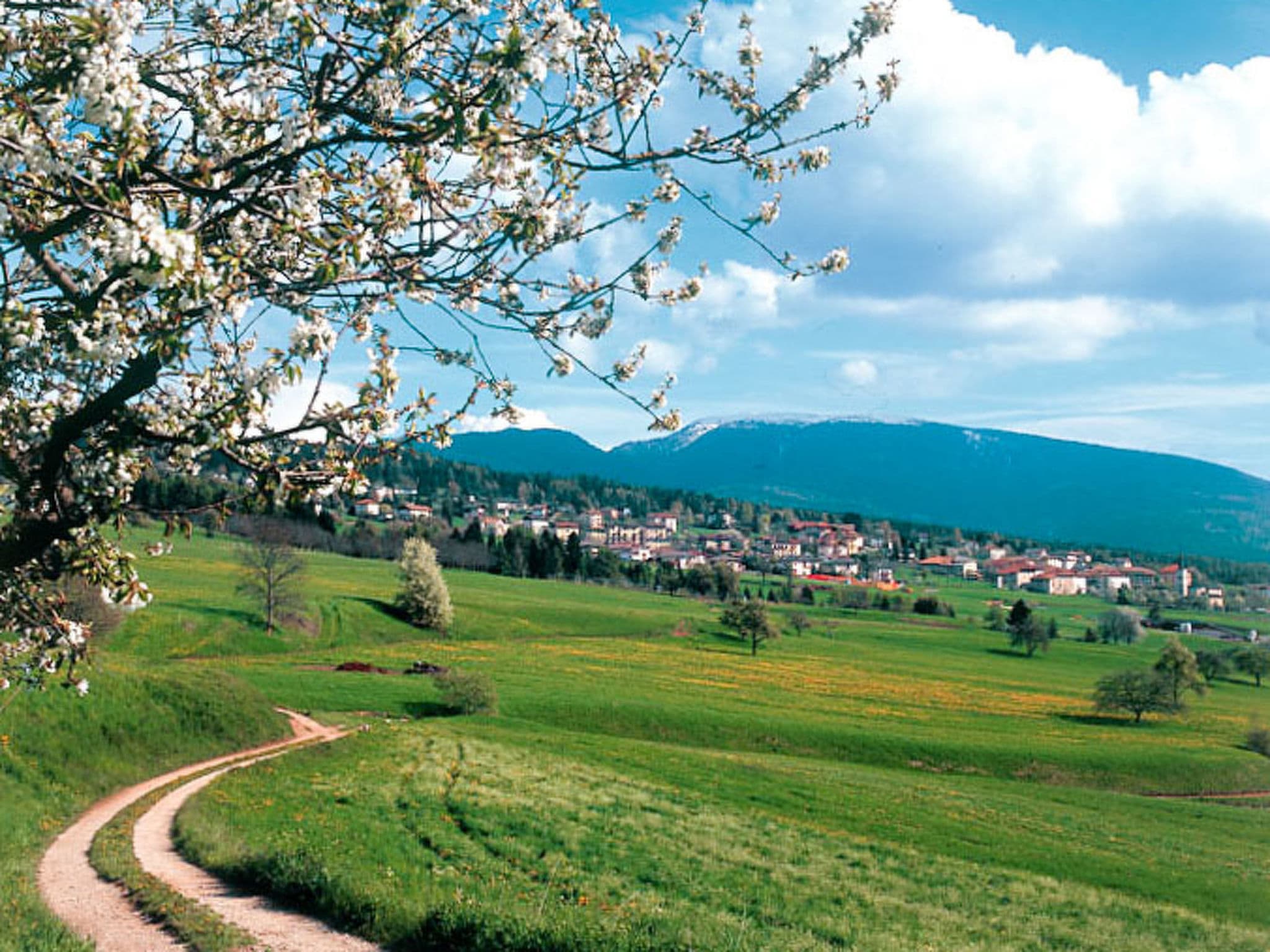 Place
