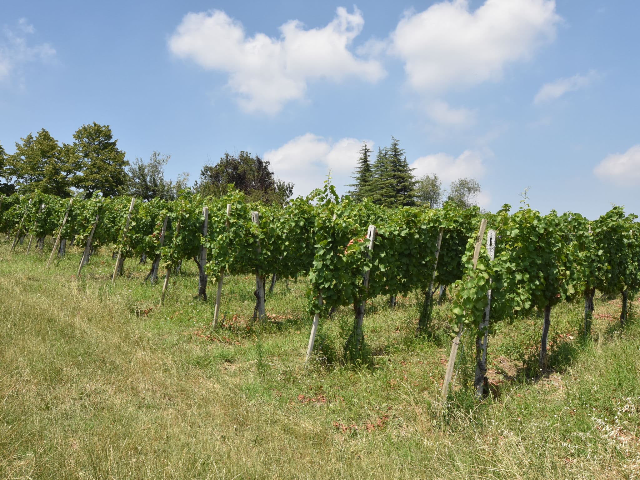 Place