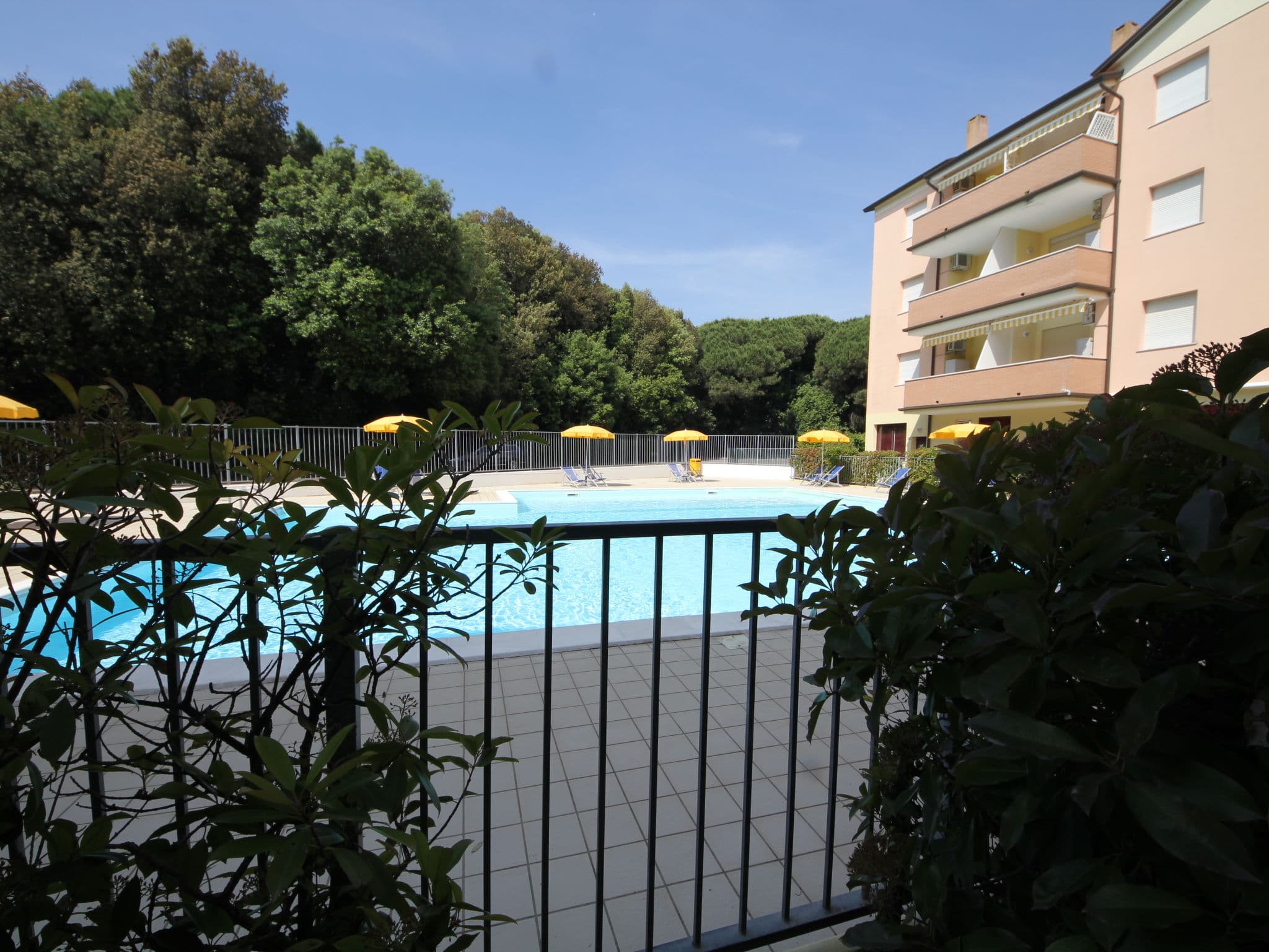 Pool Outdoor
