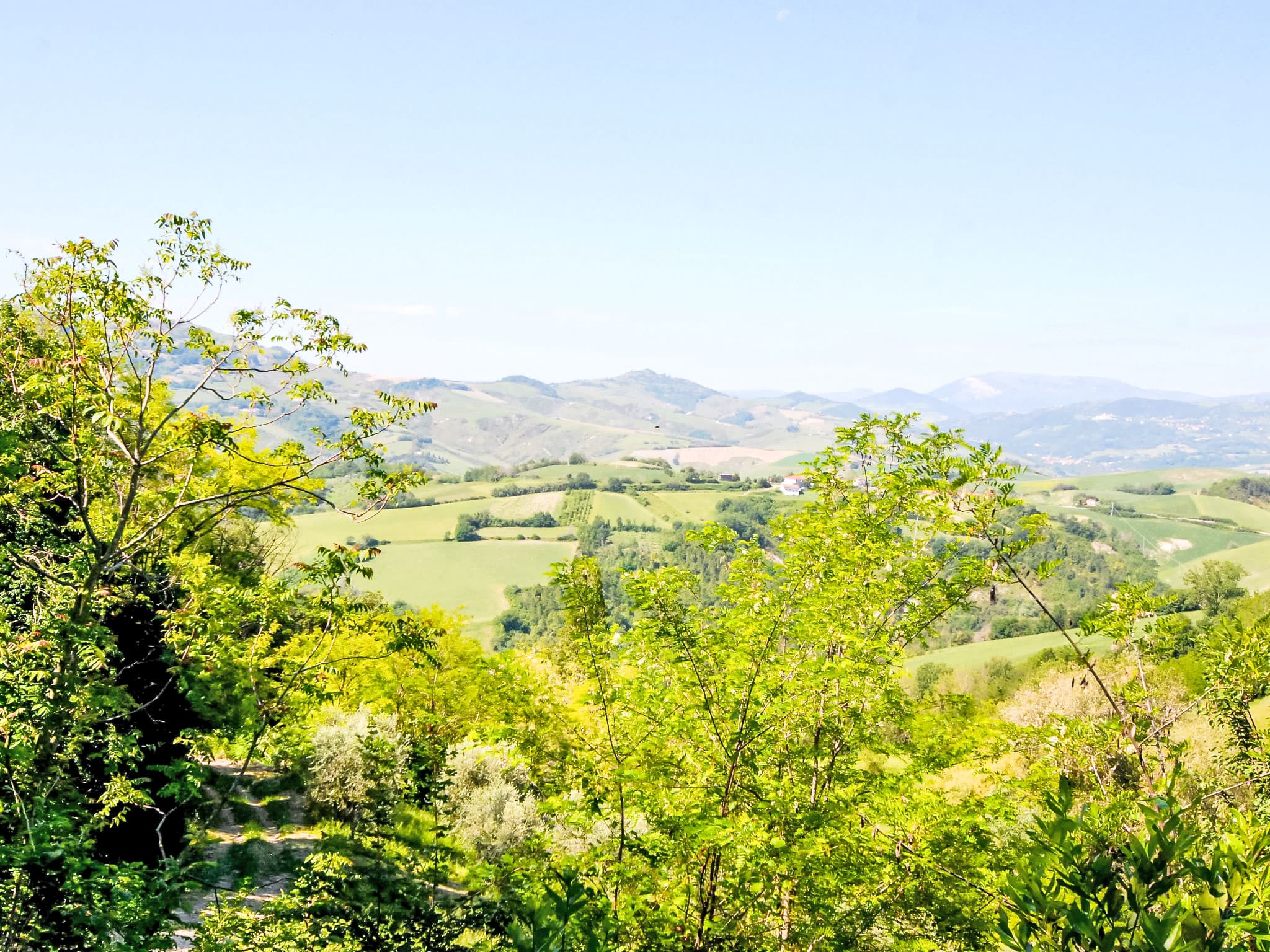View