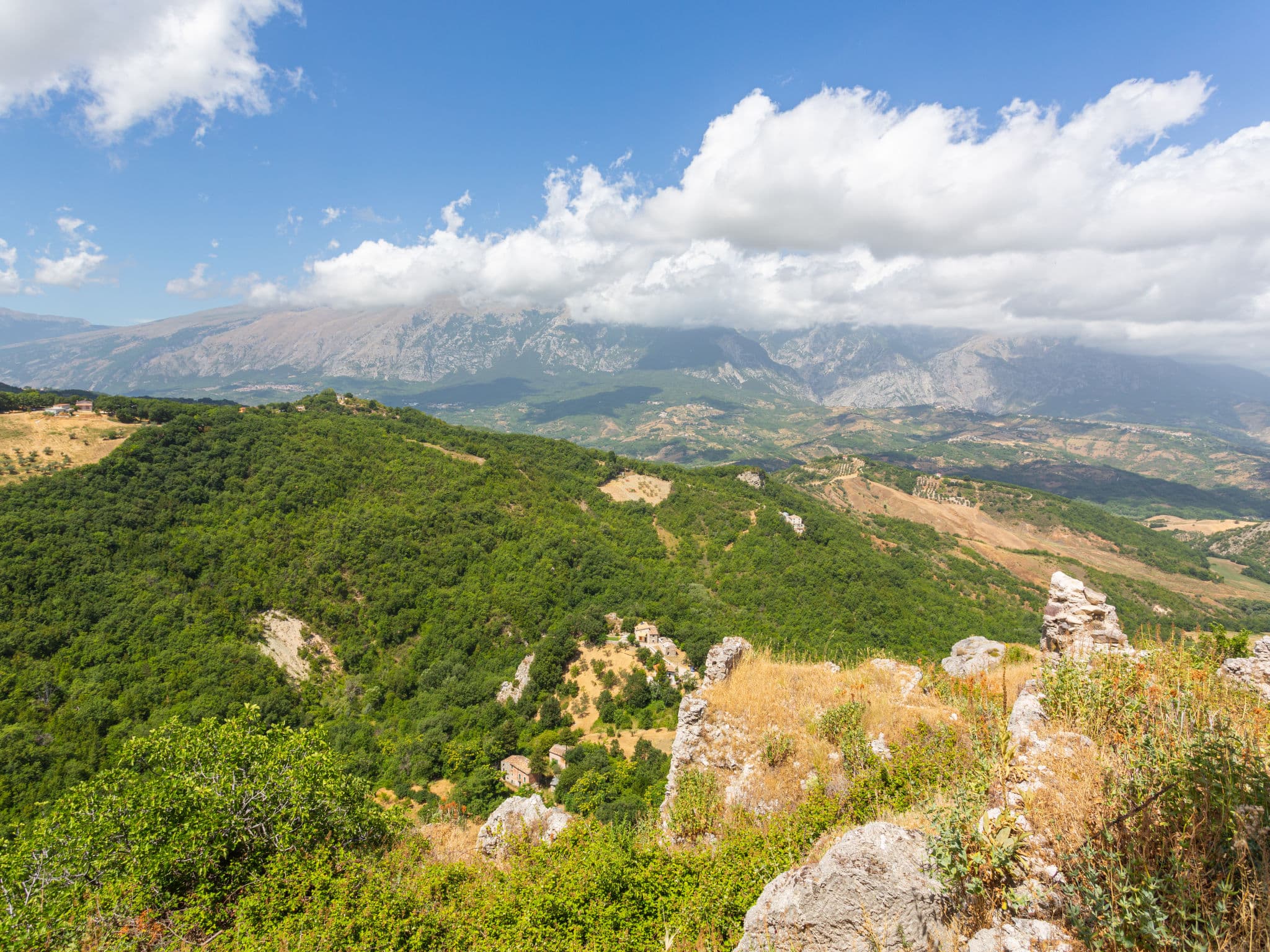 View