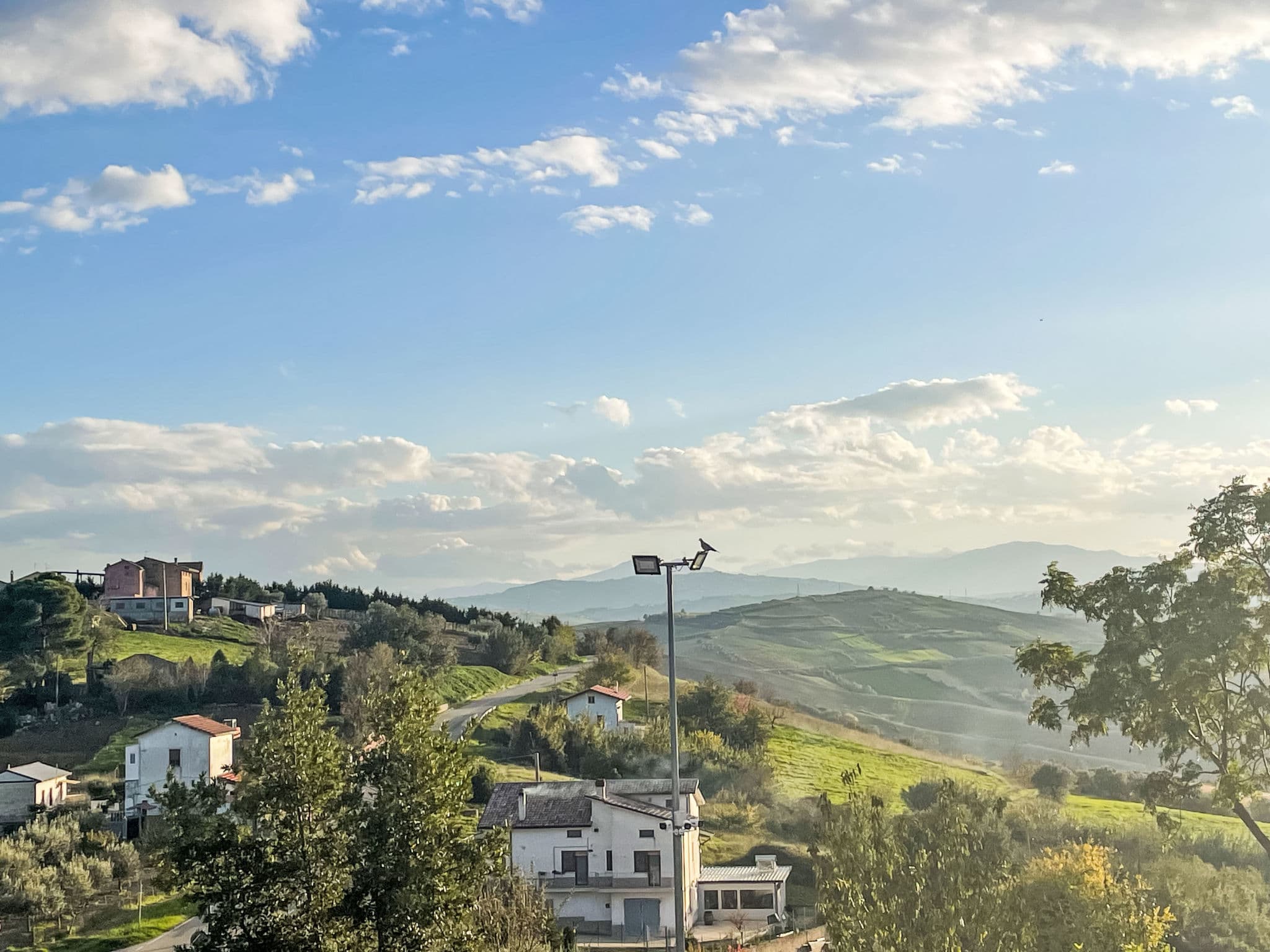 View
