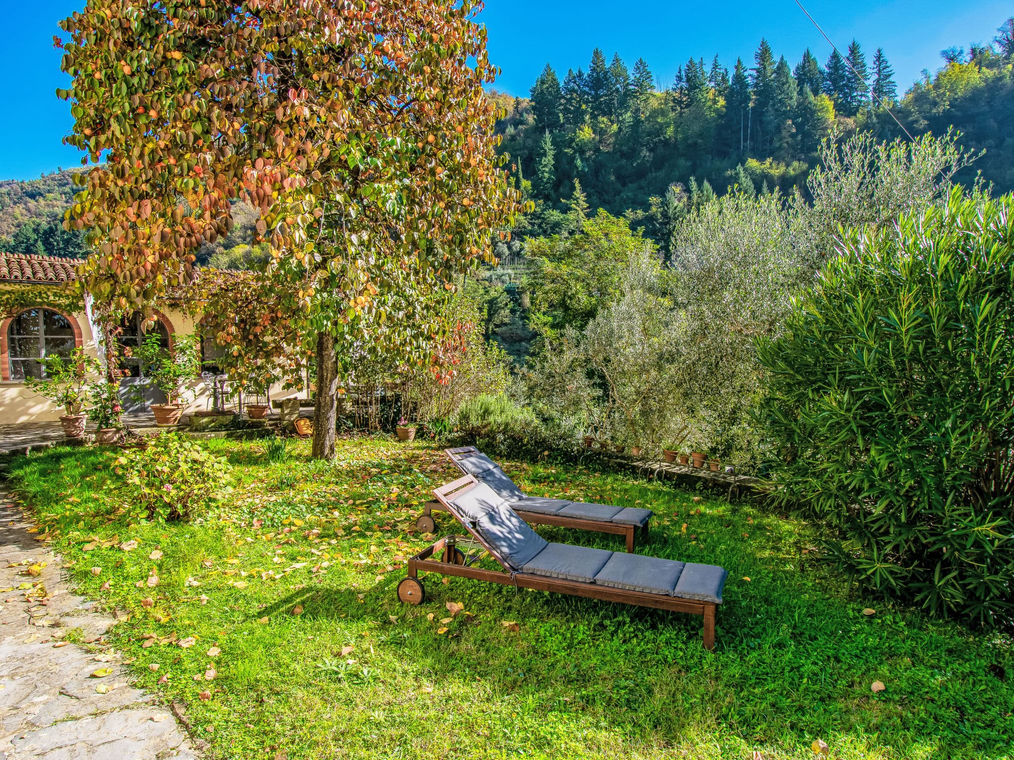Outdoor