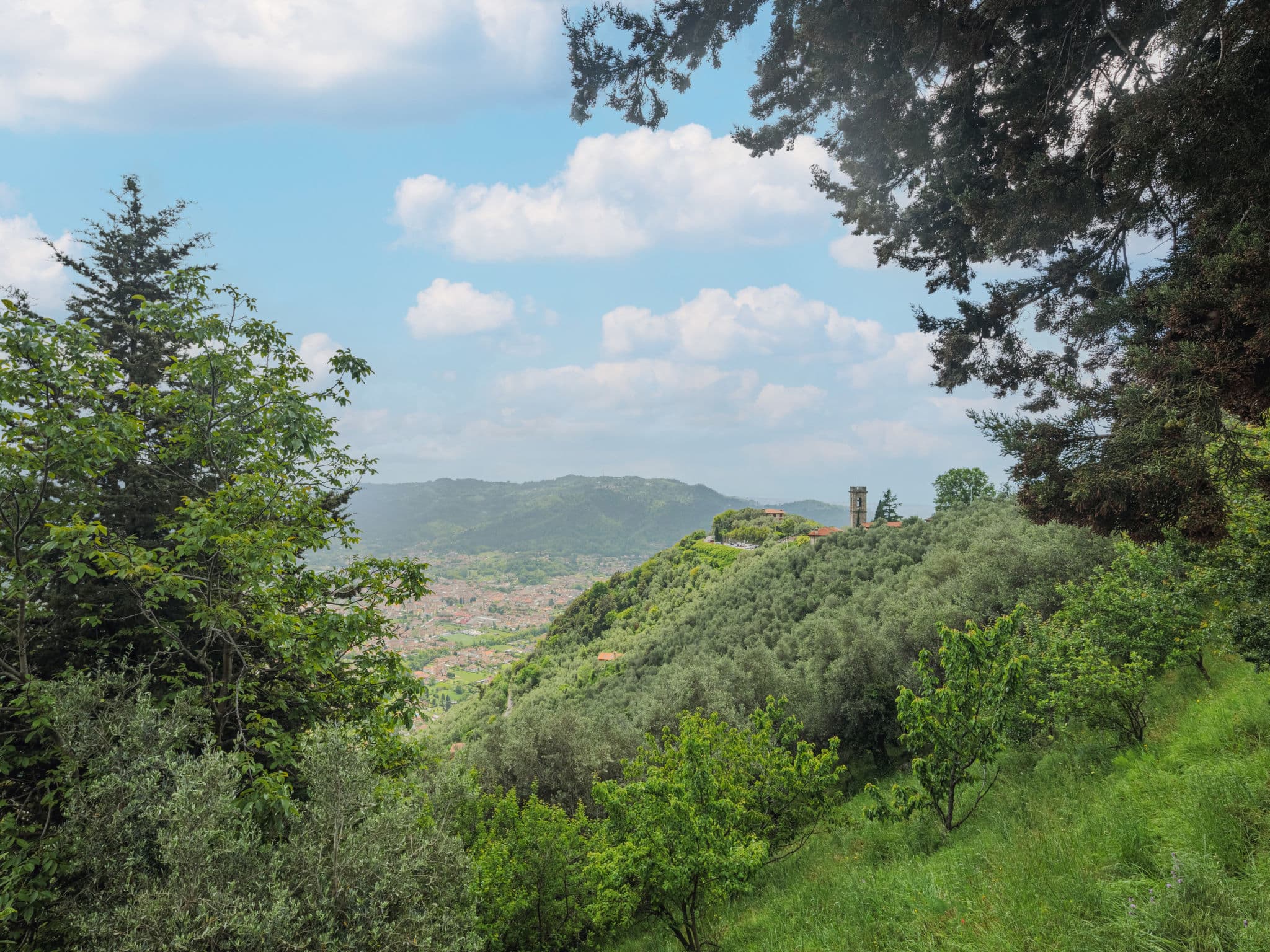 View