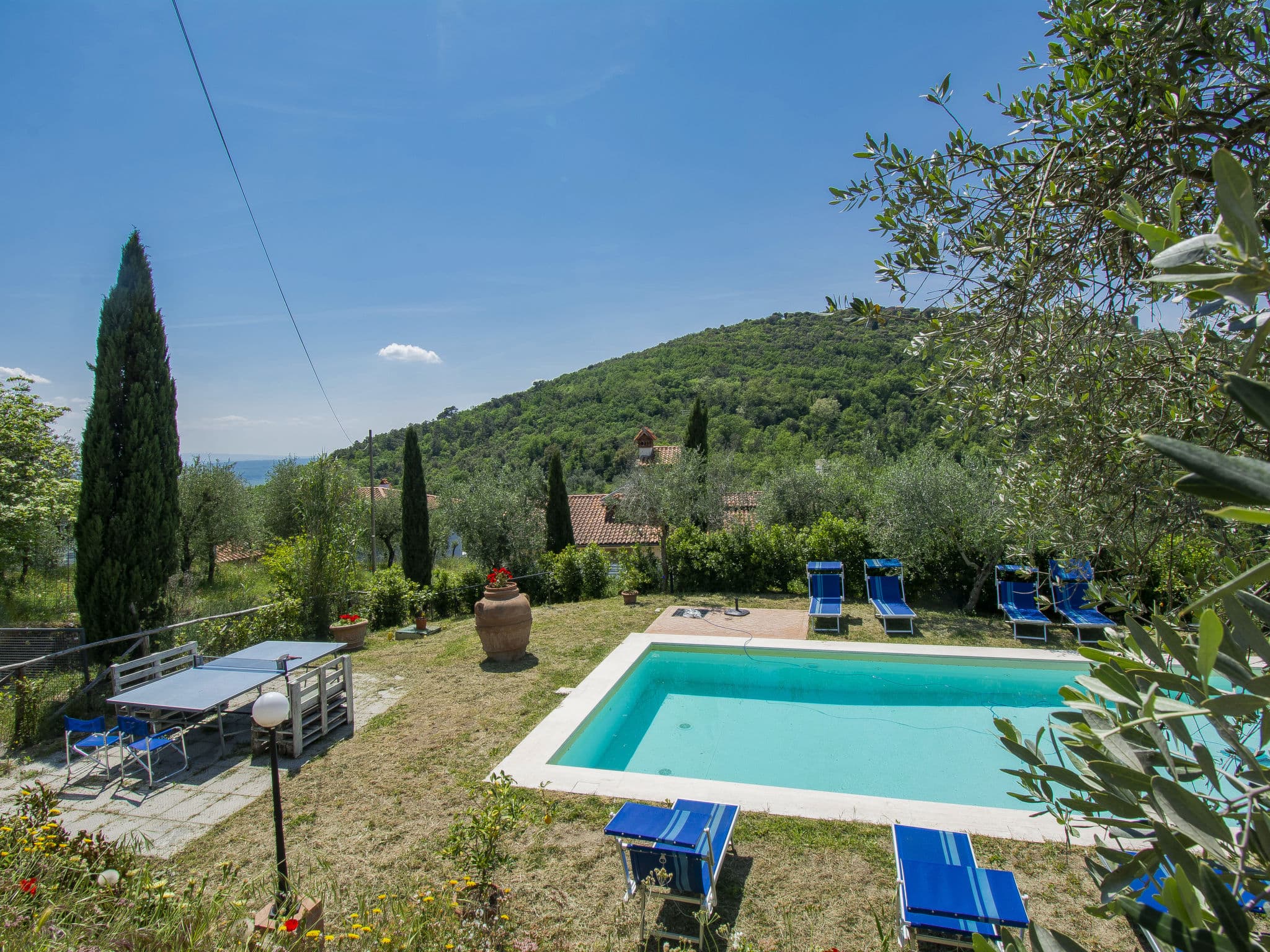 Pool Outdoor