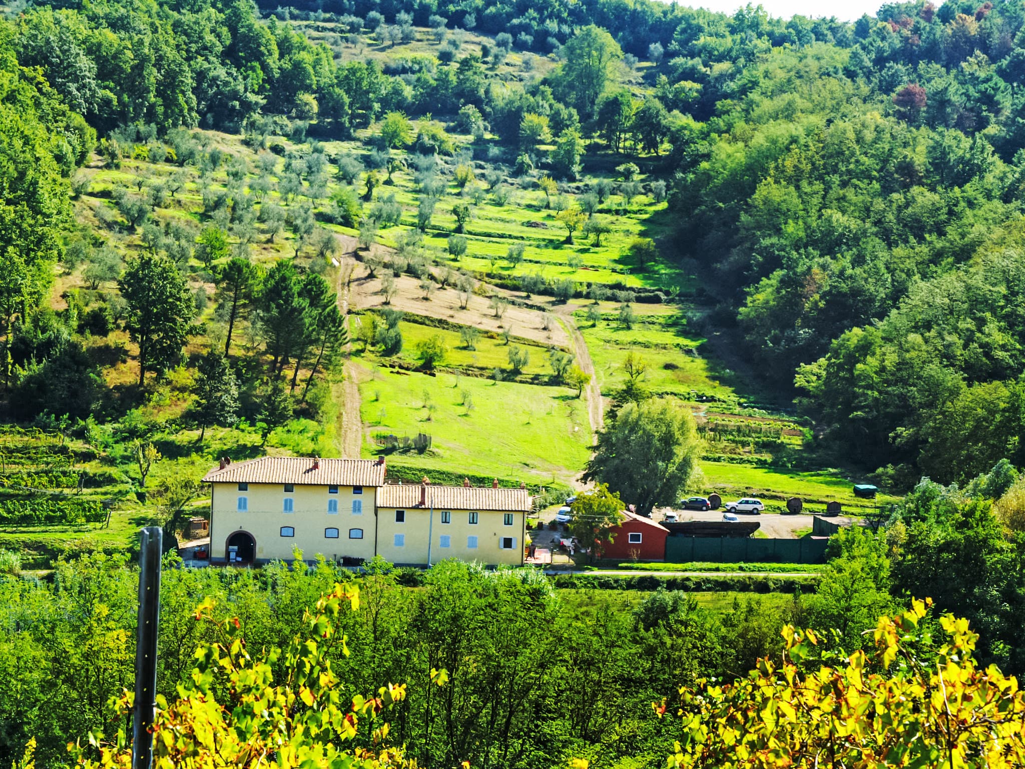 View