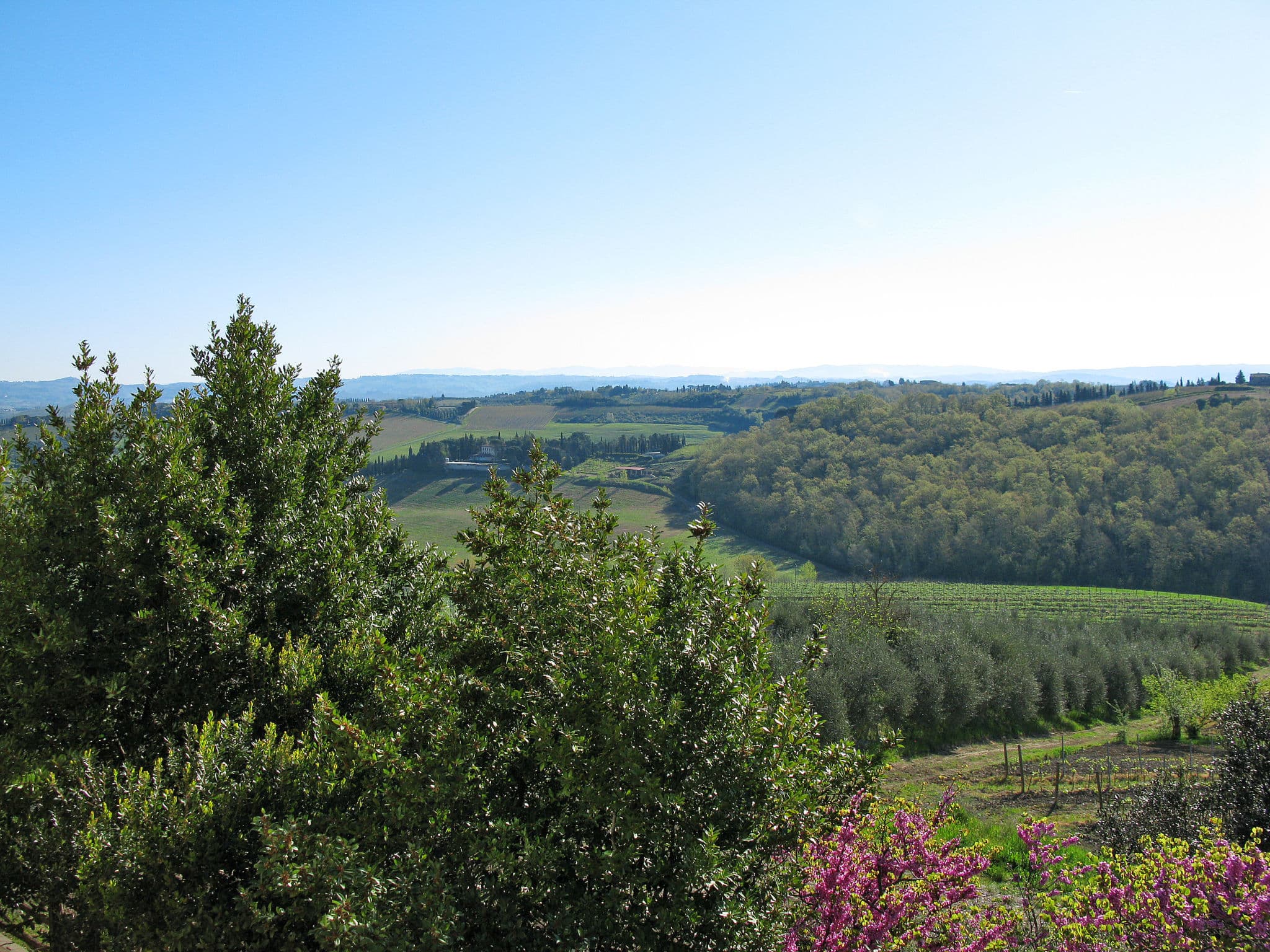 View