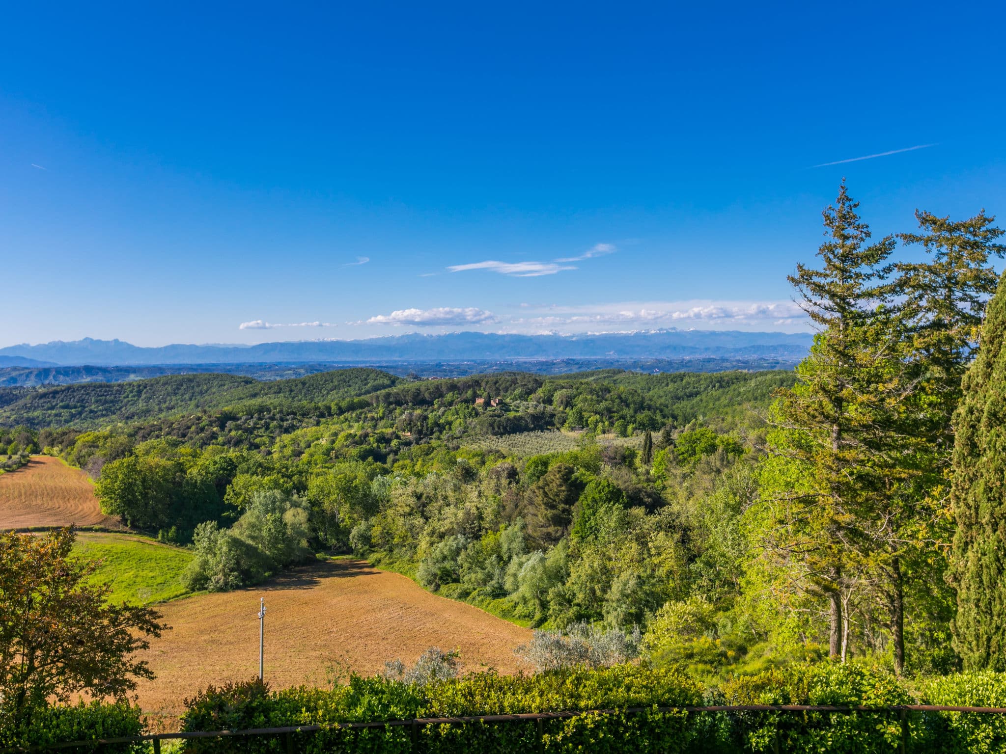 View