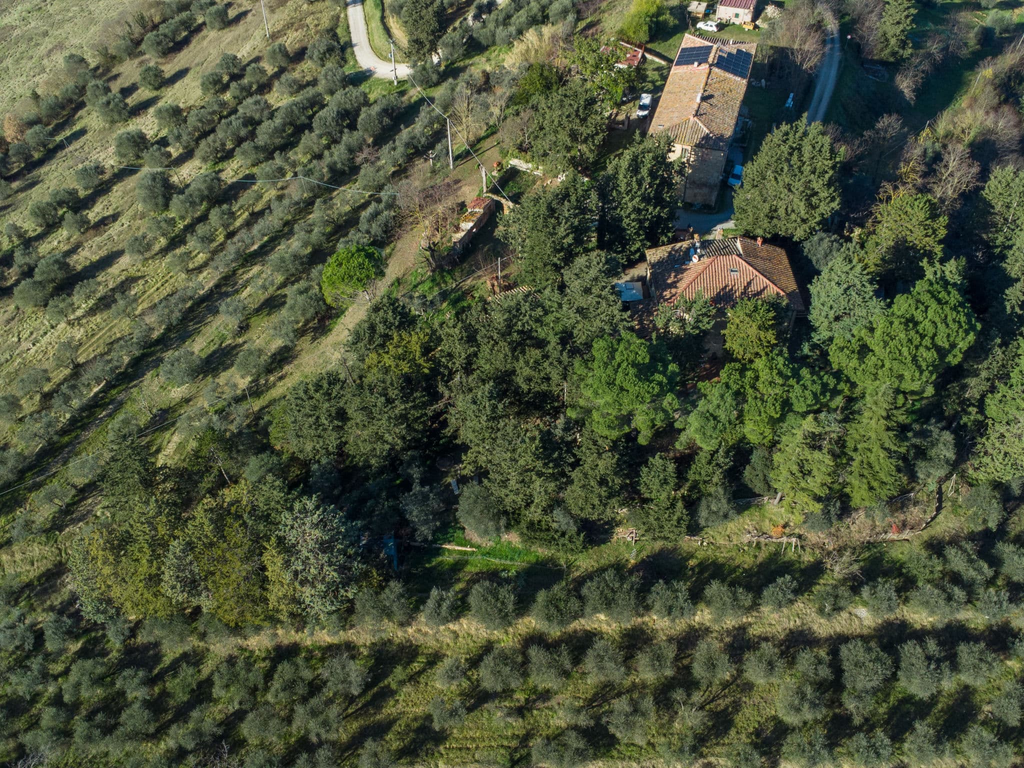 Aerial photography