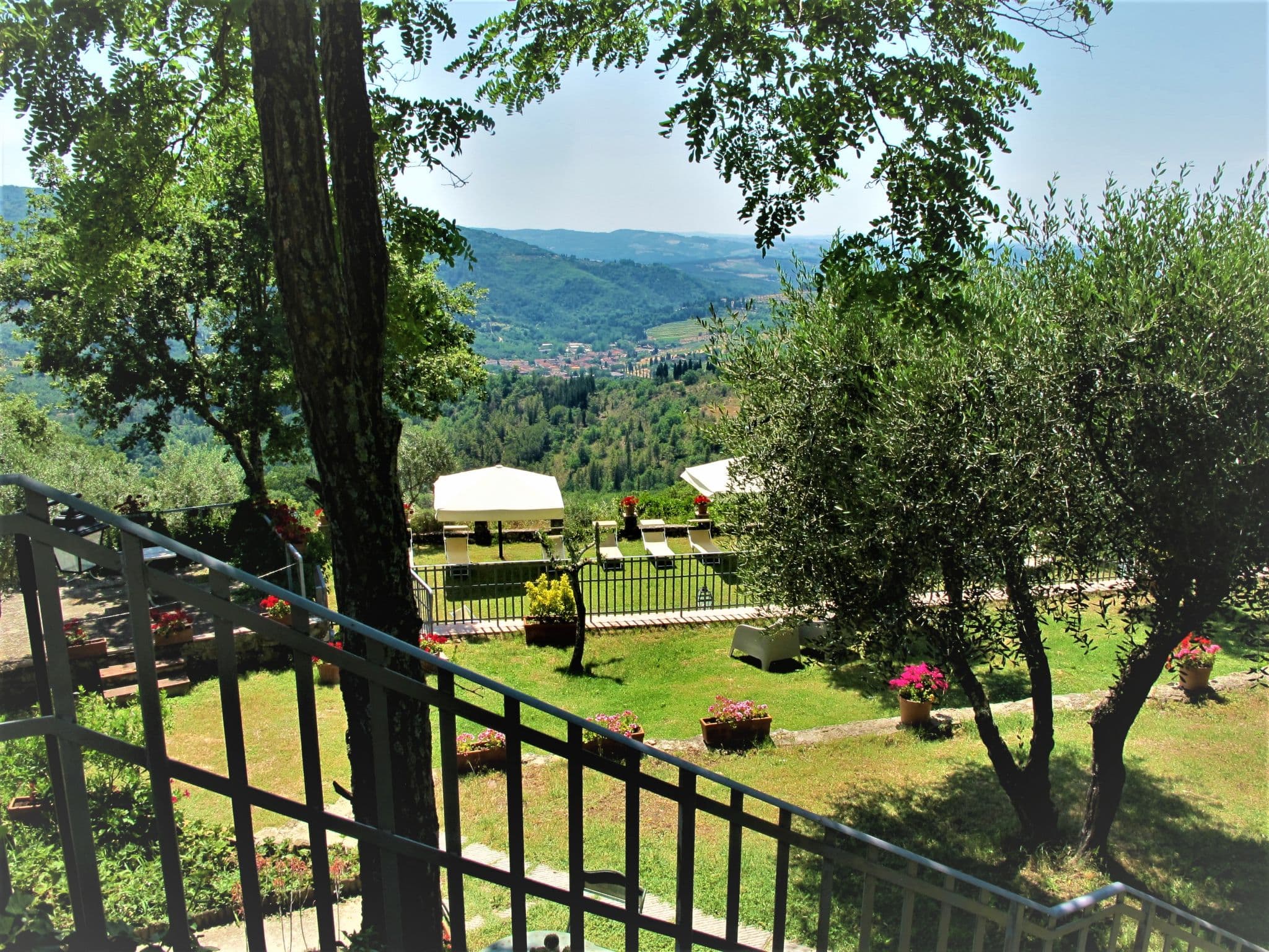 View