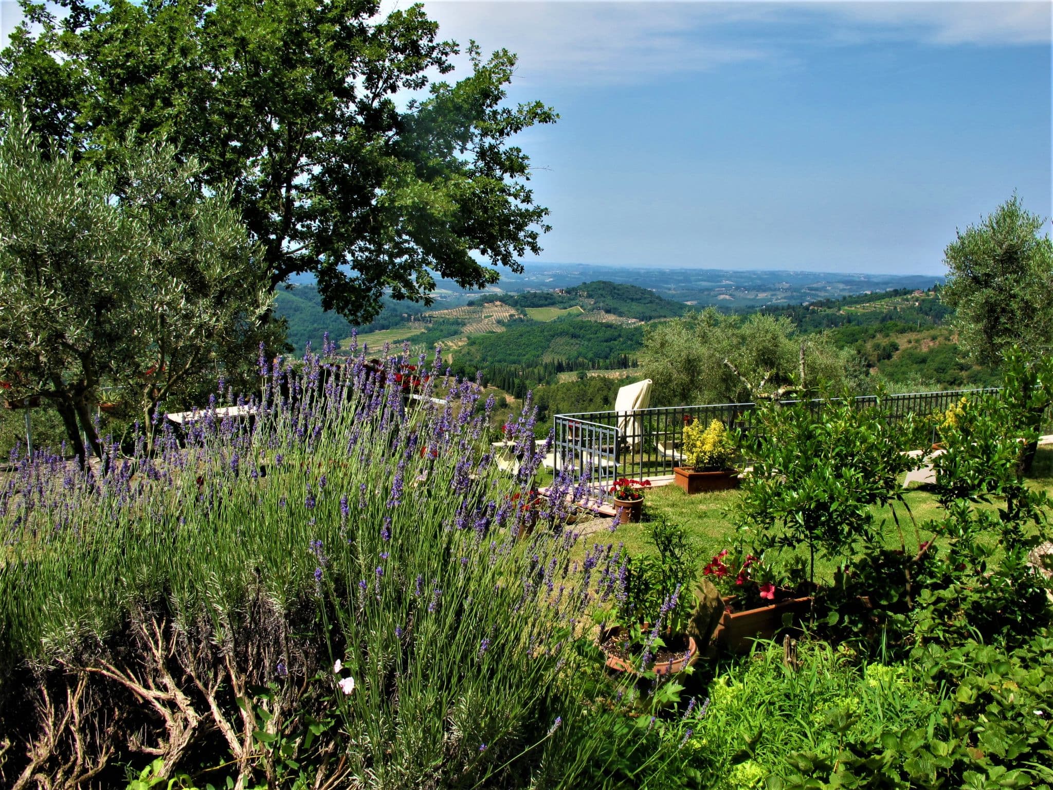 View