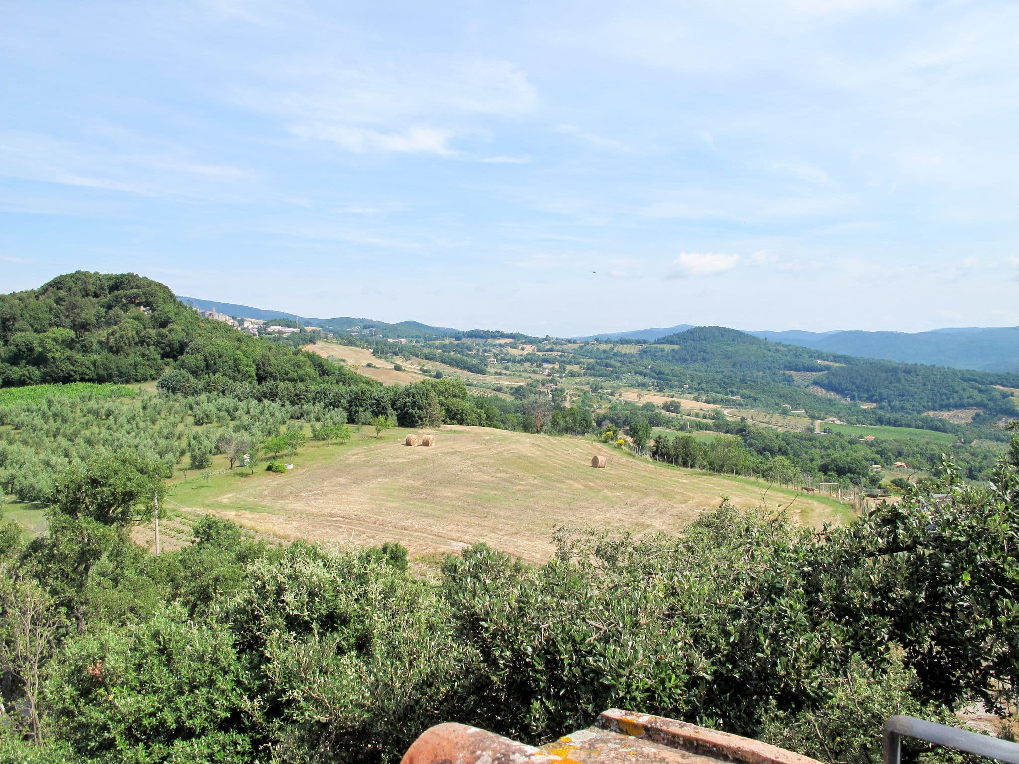 View