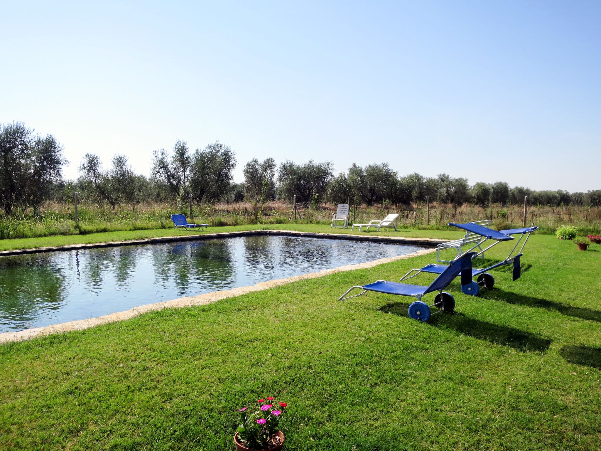 Pool Outdoor