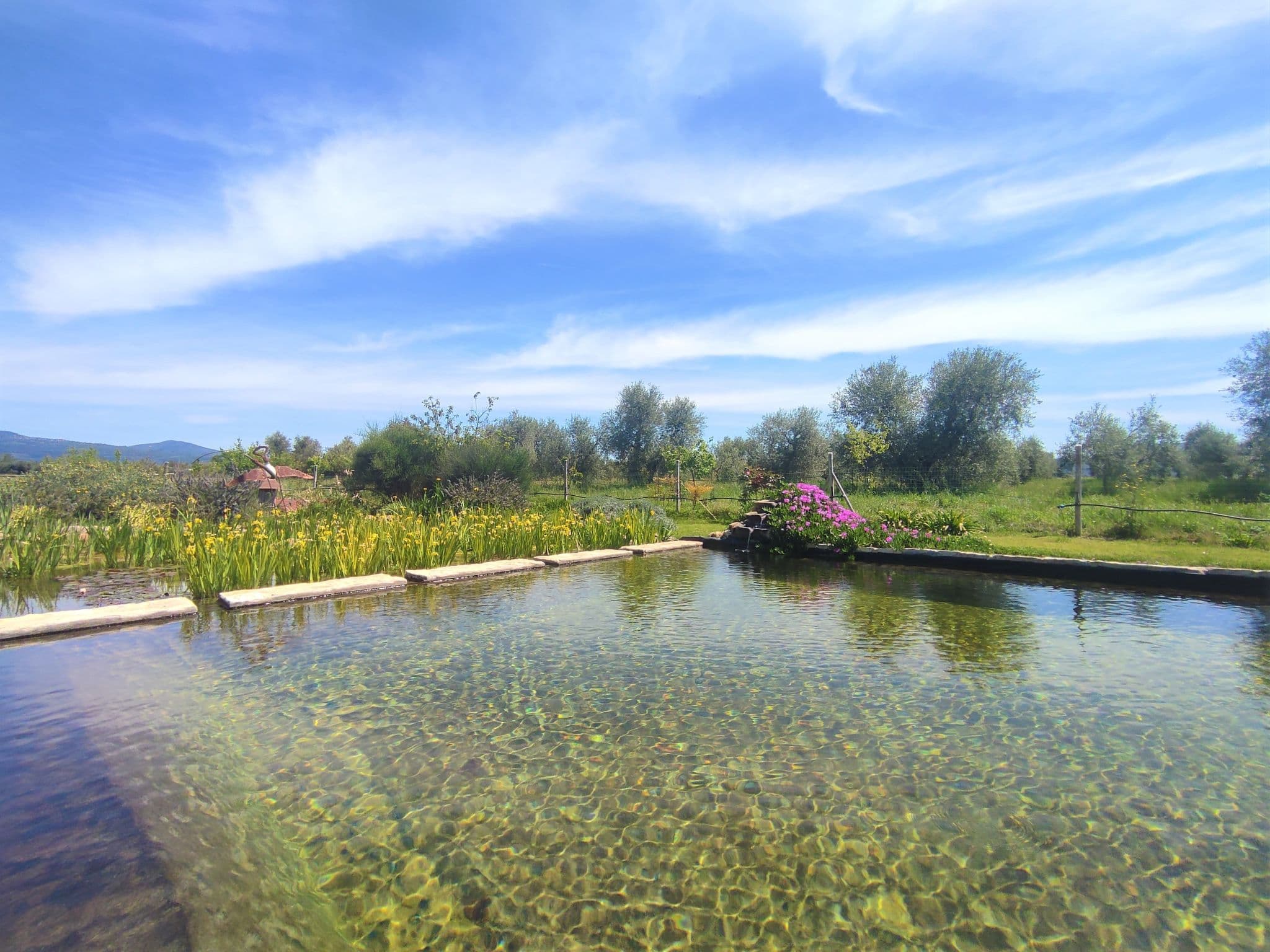 Pool Outdoor