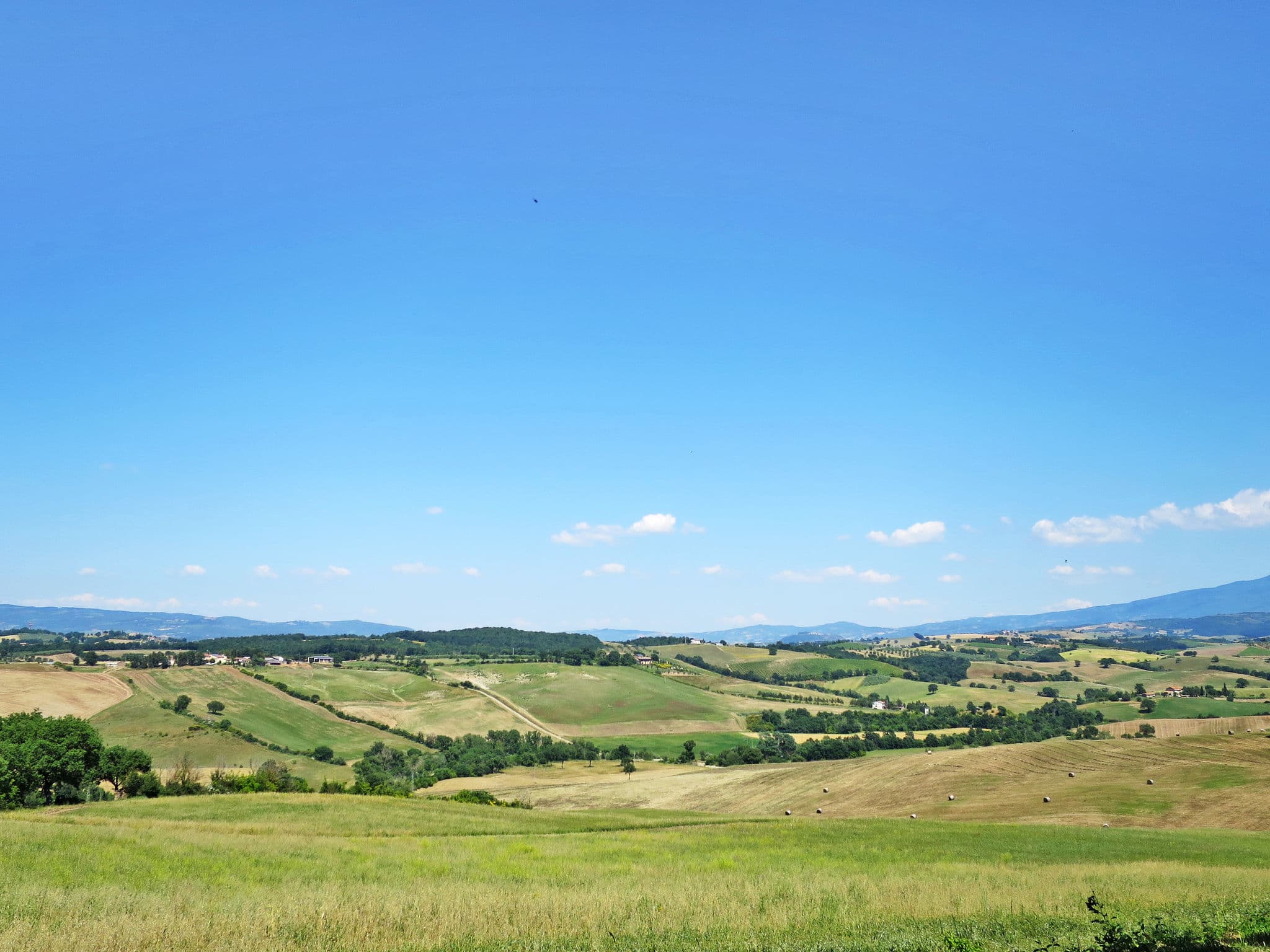 Place