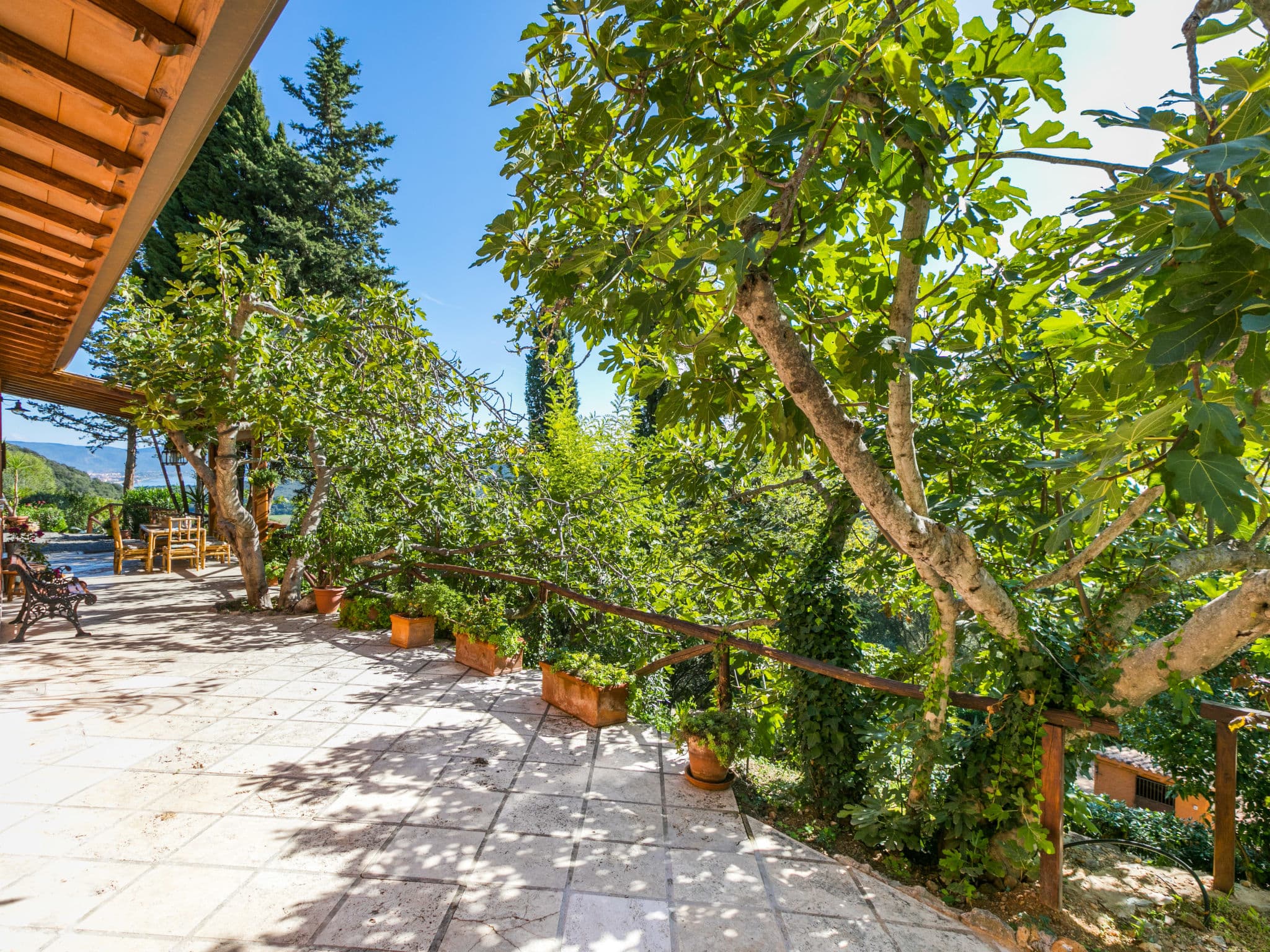 Outdoor