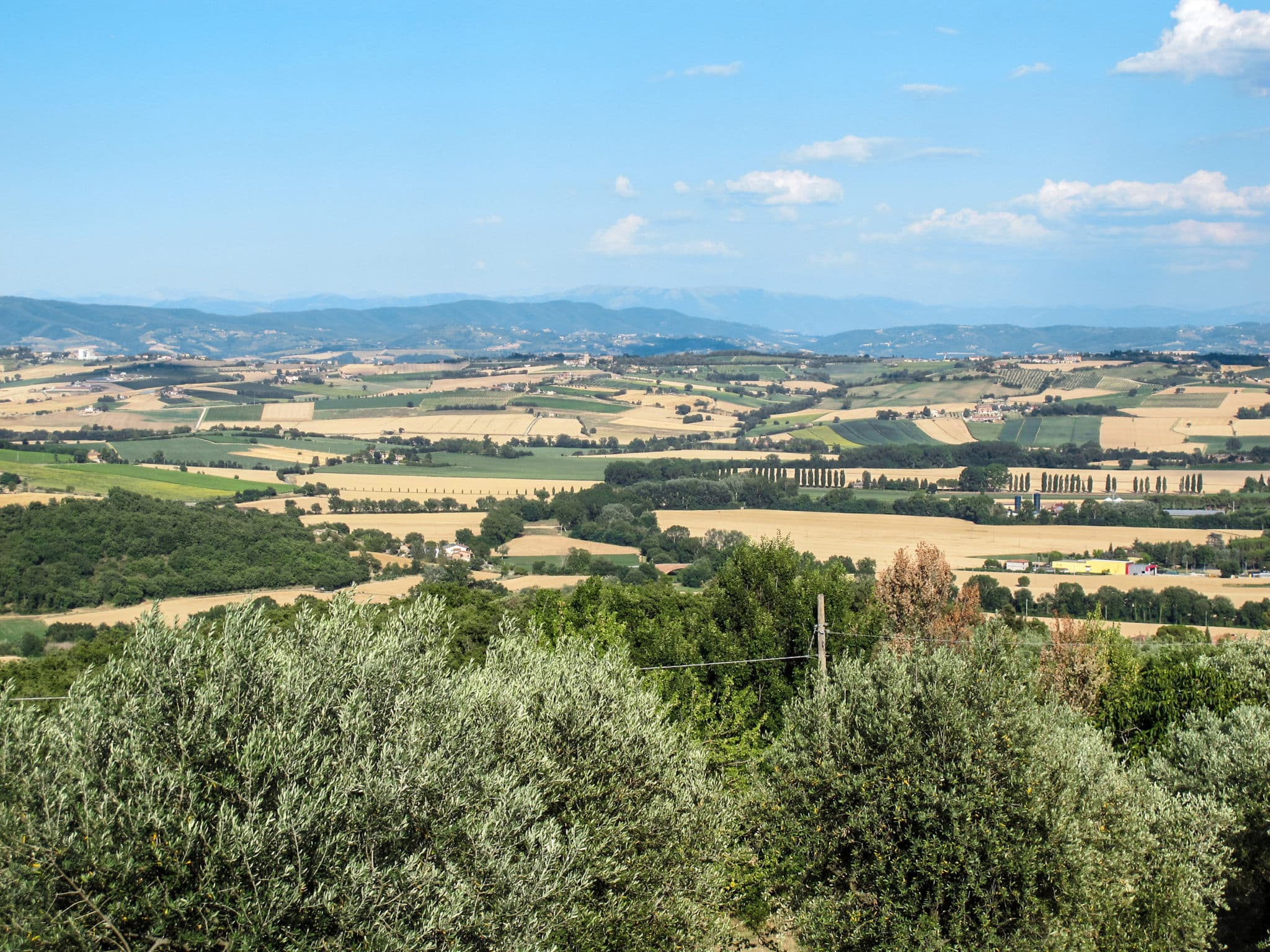 View