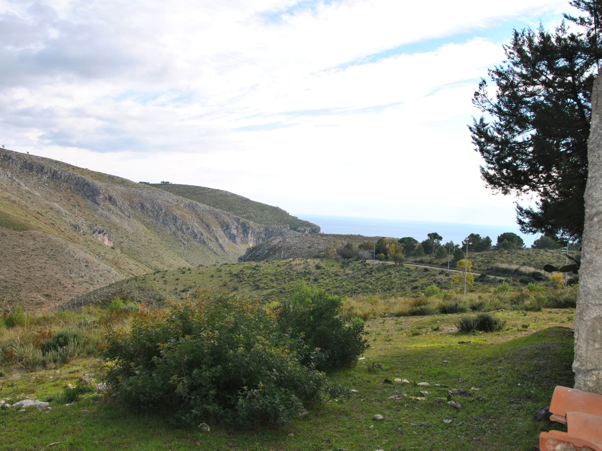 View