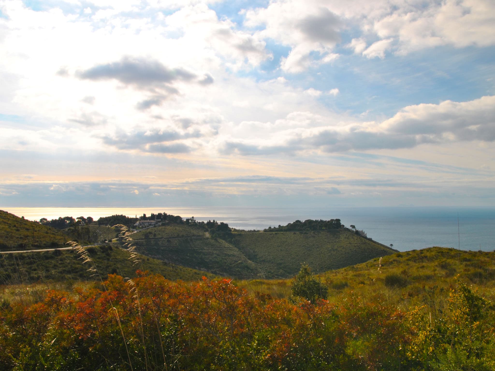 View