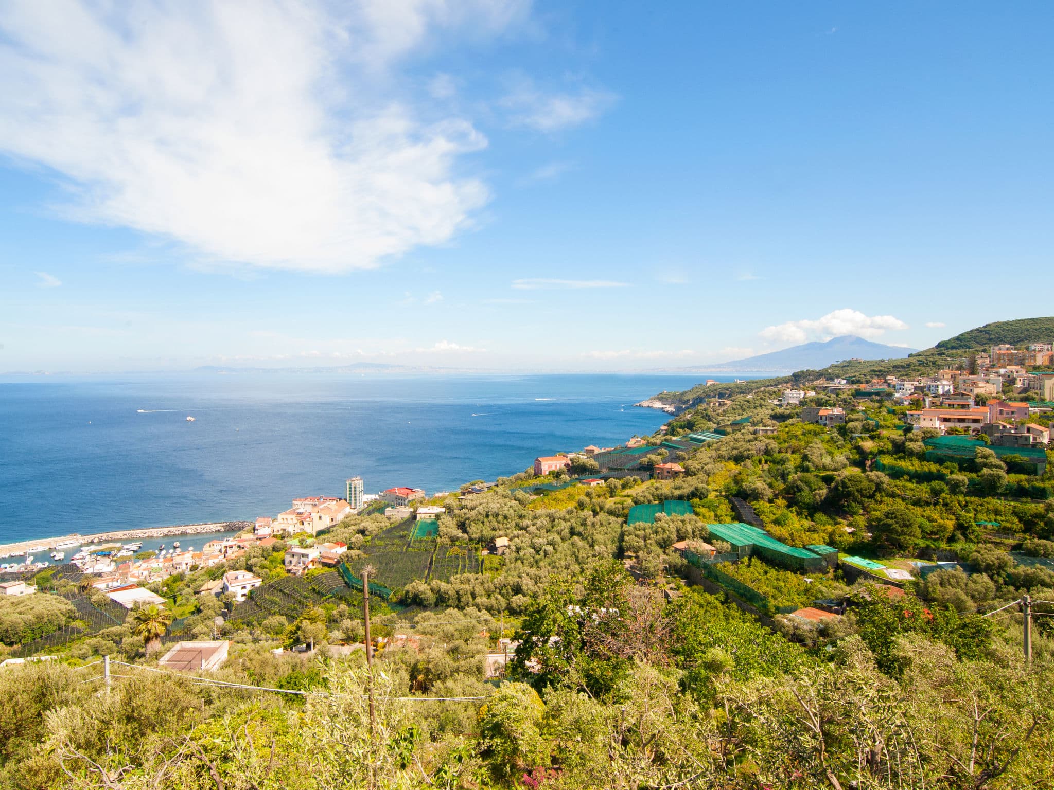 View
