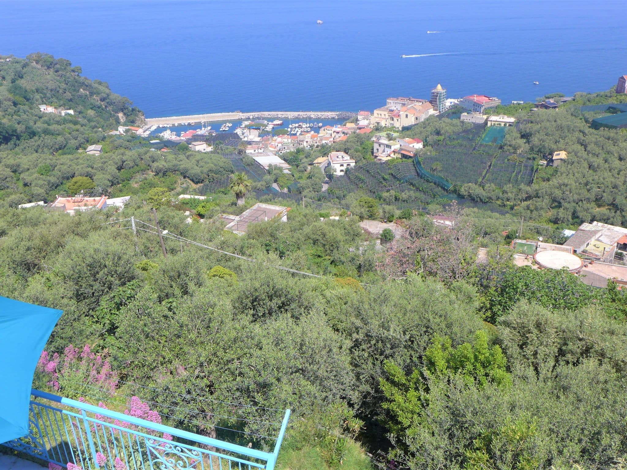 View