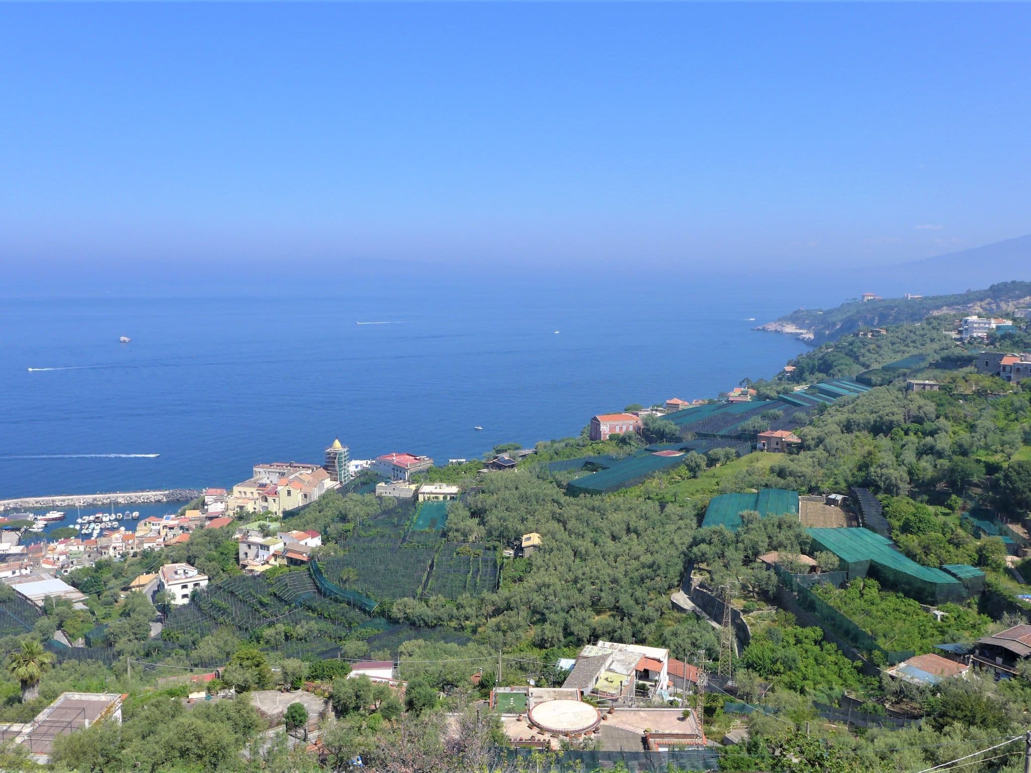 View