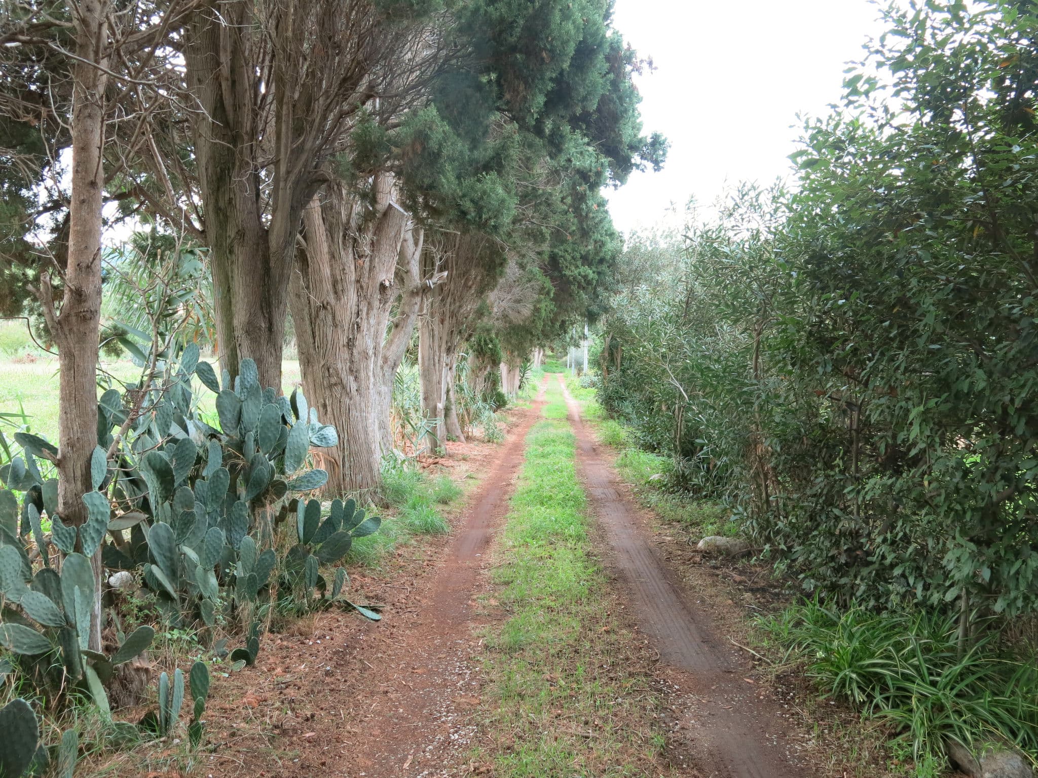Outdoor