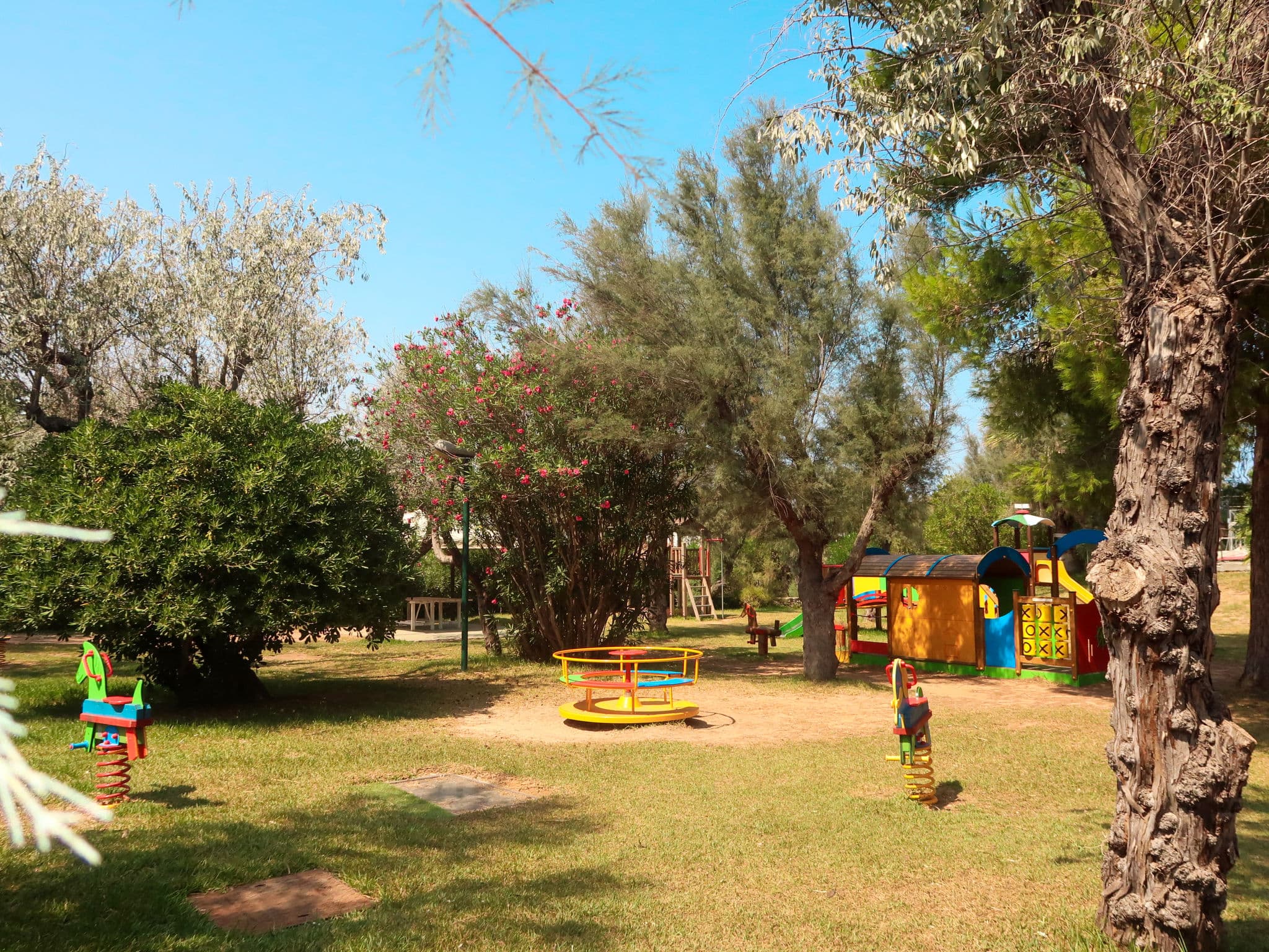 Outdoor