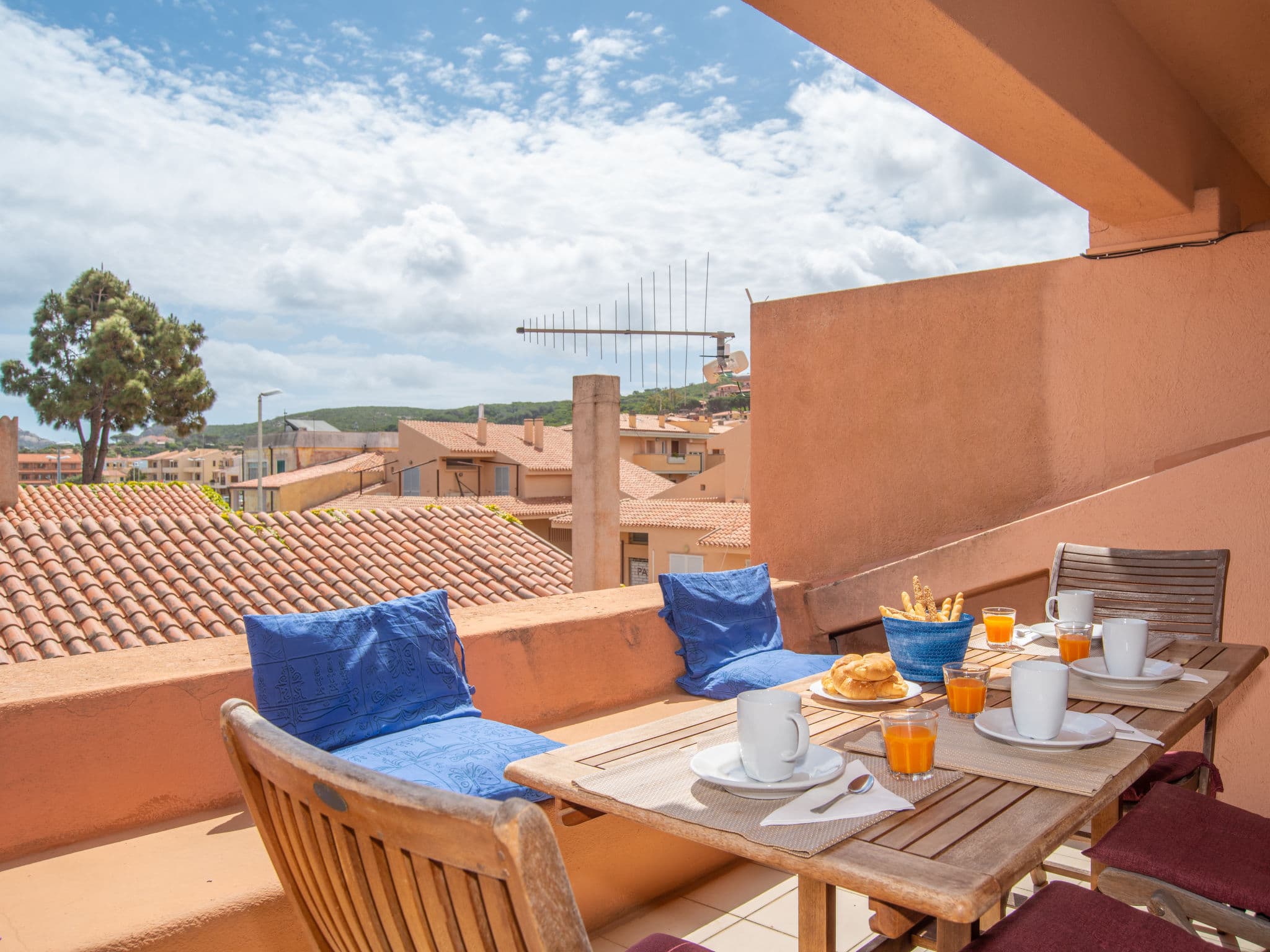 Terrace